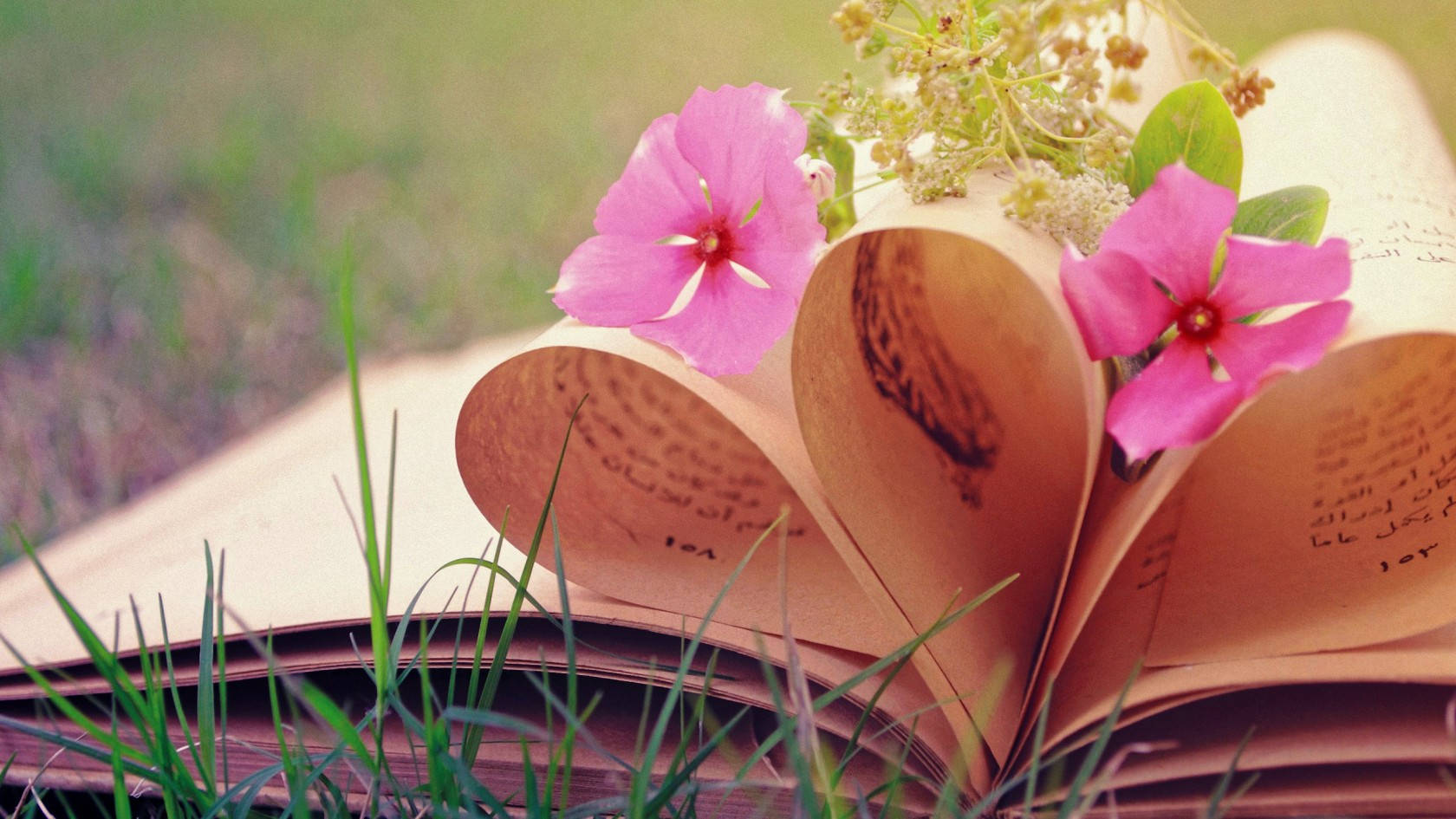 Love Nature Book, vintage book, pink flowers, HD Desktop Wallpaper