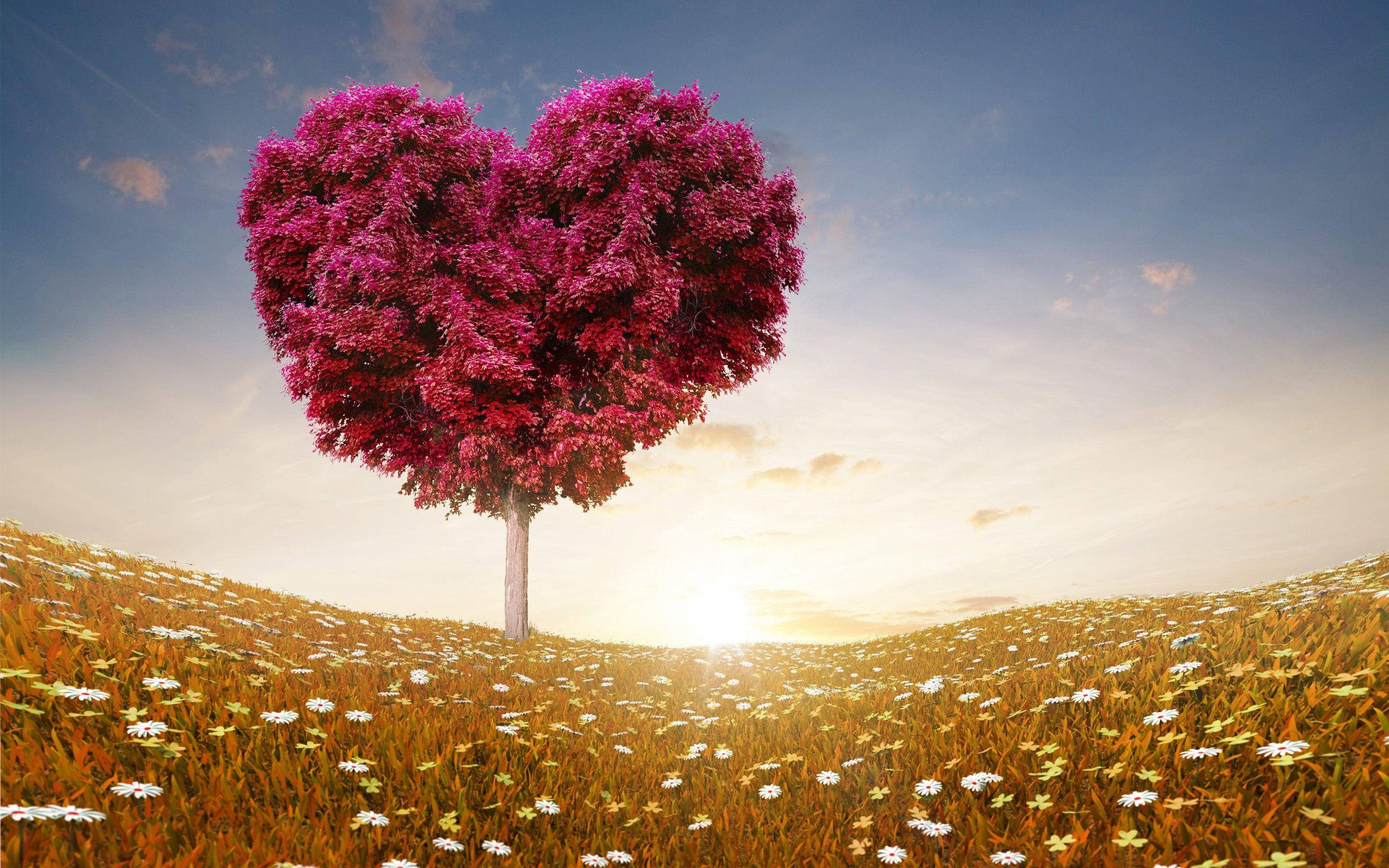 Love Nature Tree, heart-shaped tree, magenta leaves, 2K Desktop Wallpaper
