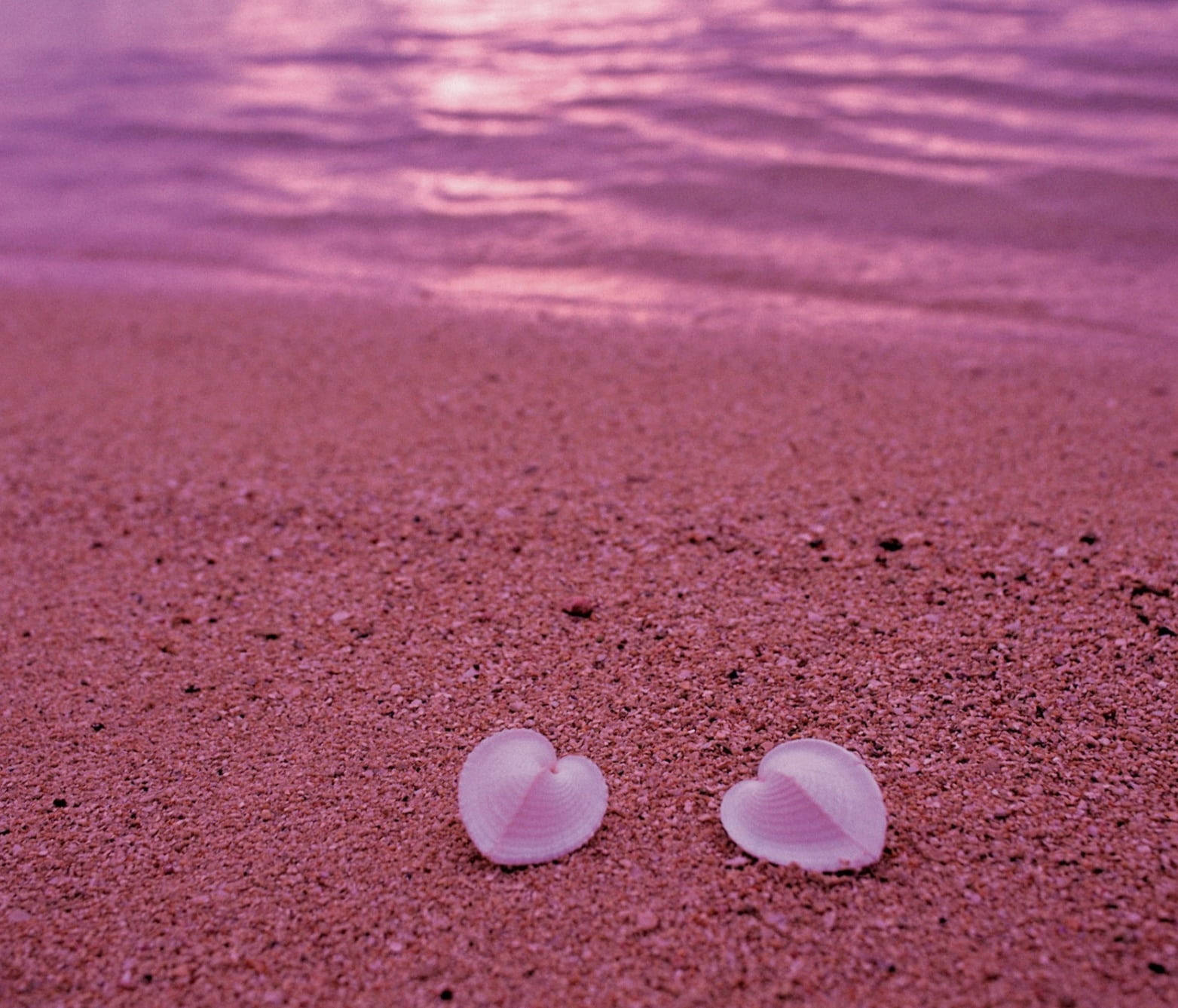 Love Nature, heart-shaped seashells, pink sand, HD Desktop Wallpaper