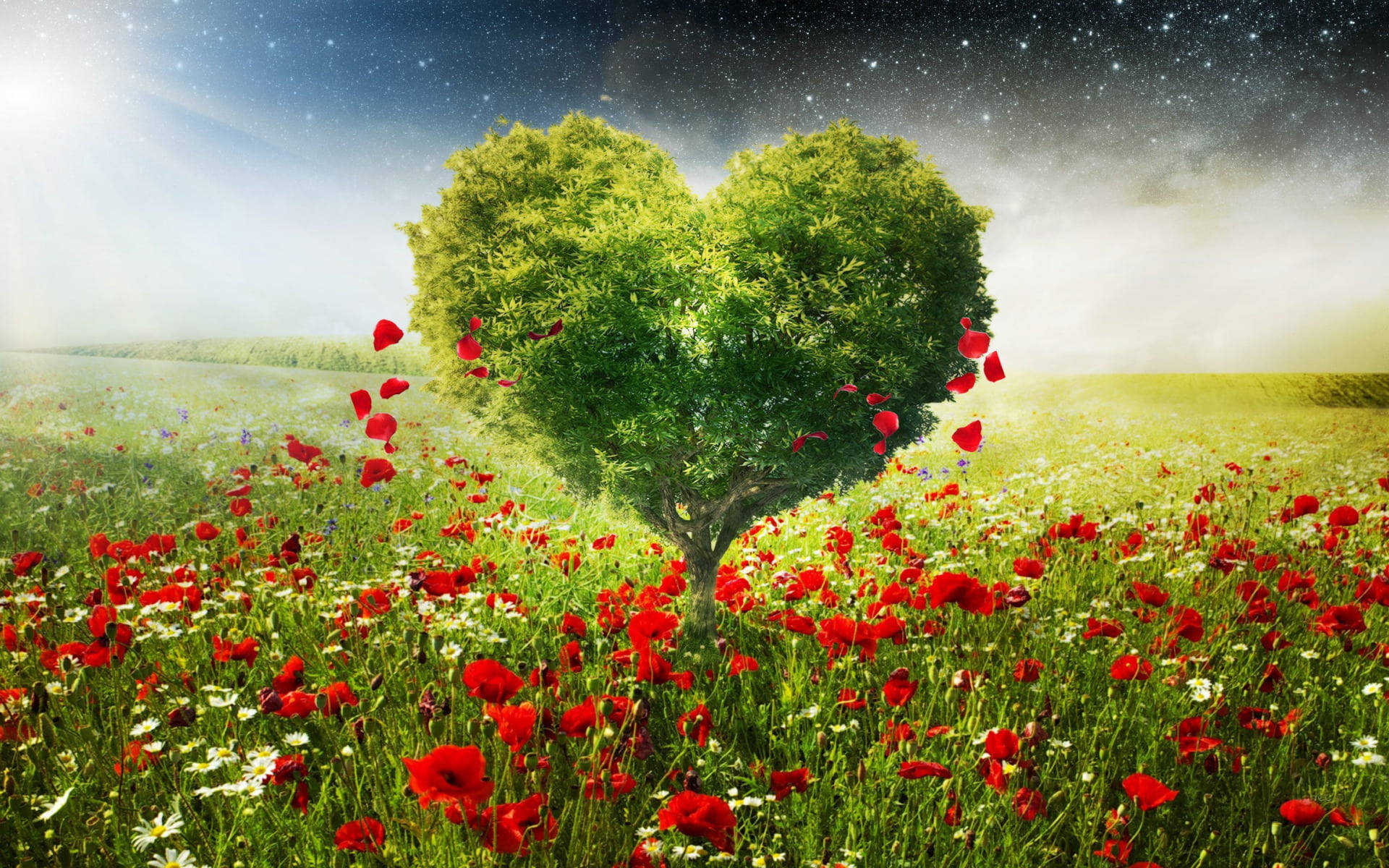 heart-shaped tree, field of red poppies, starry sky, Full HD Desktop Wallpaper