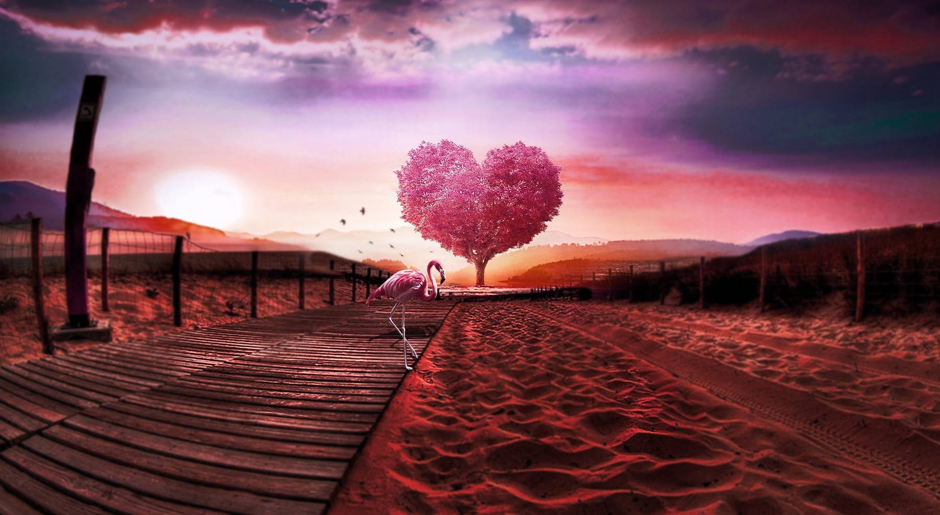flamingo, wooden boardwalk, heart-shaped tree, Full HD Desktop Wallpaper