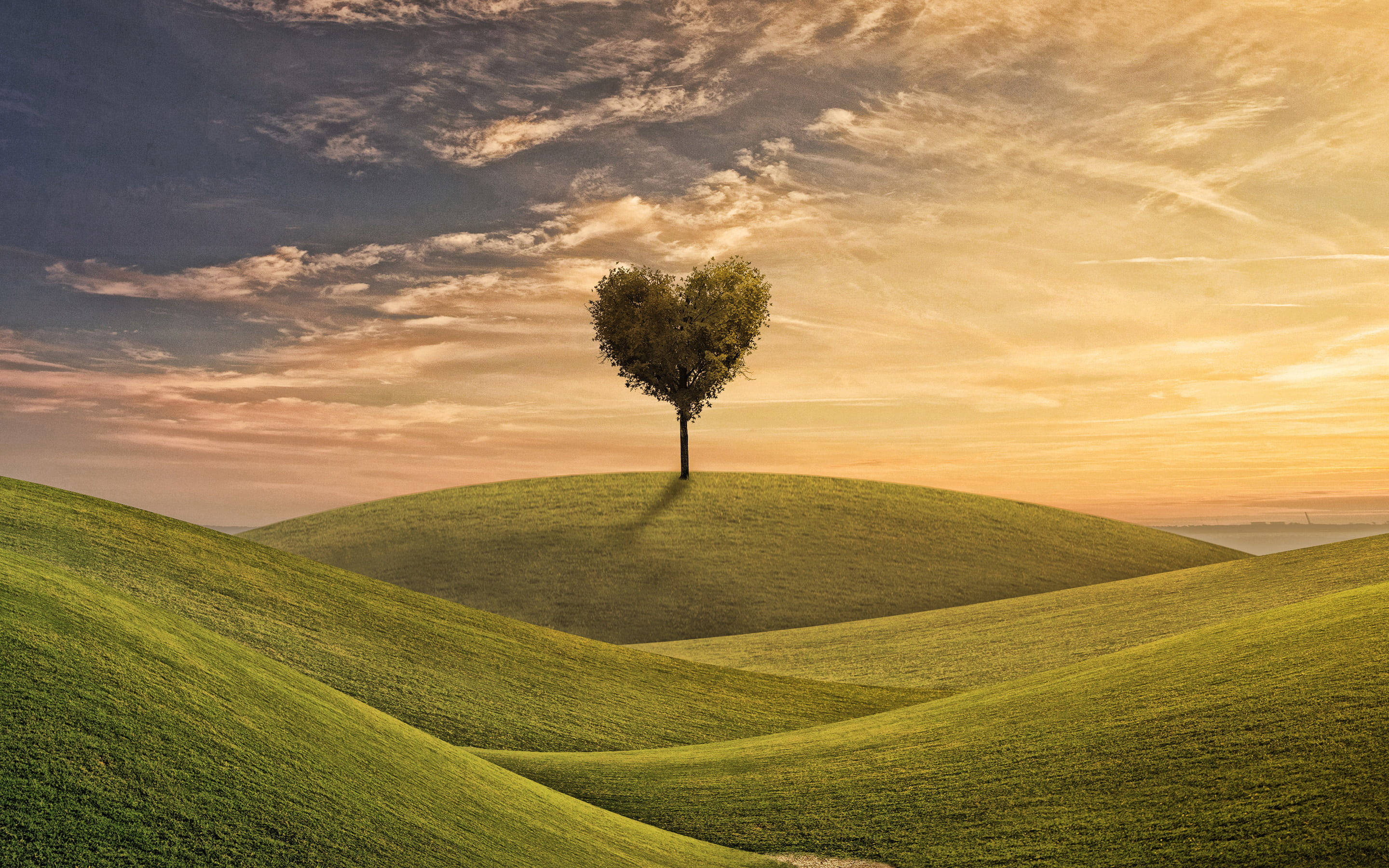 heart-shaped tree, rolling green hill, dramatic sunset sky, 2K Desktop Wallpaper