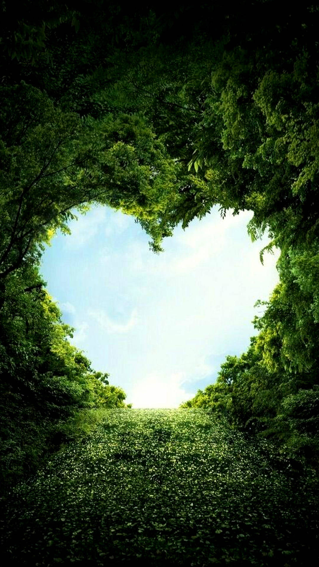 heart shape, lush green trees, bright blue sky, Full HD Phone Wallpaper