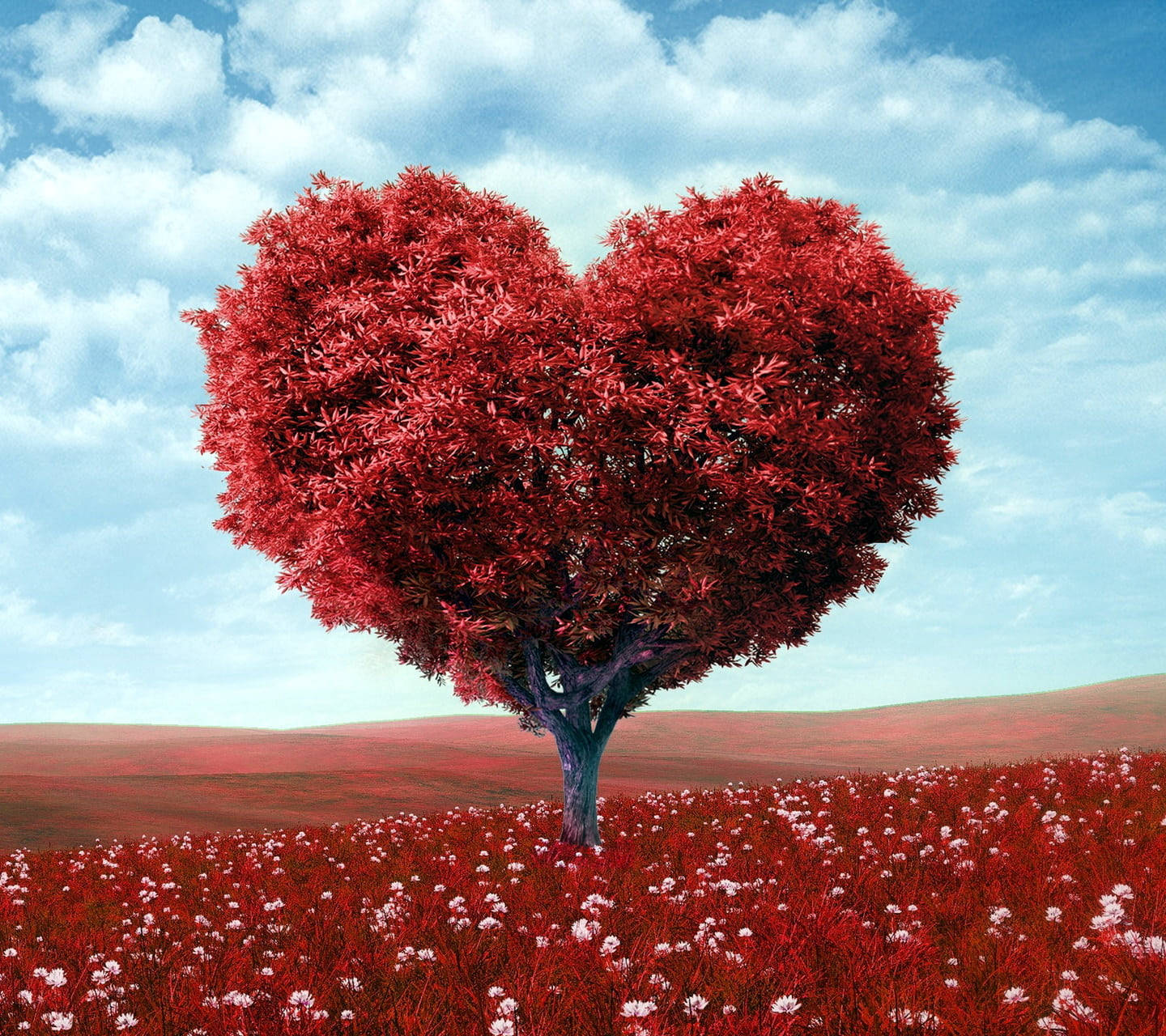 Love Nature, red heart tree, vibrant red leaves, HD Desktop Wallpaper