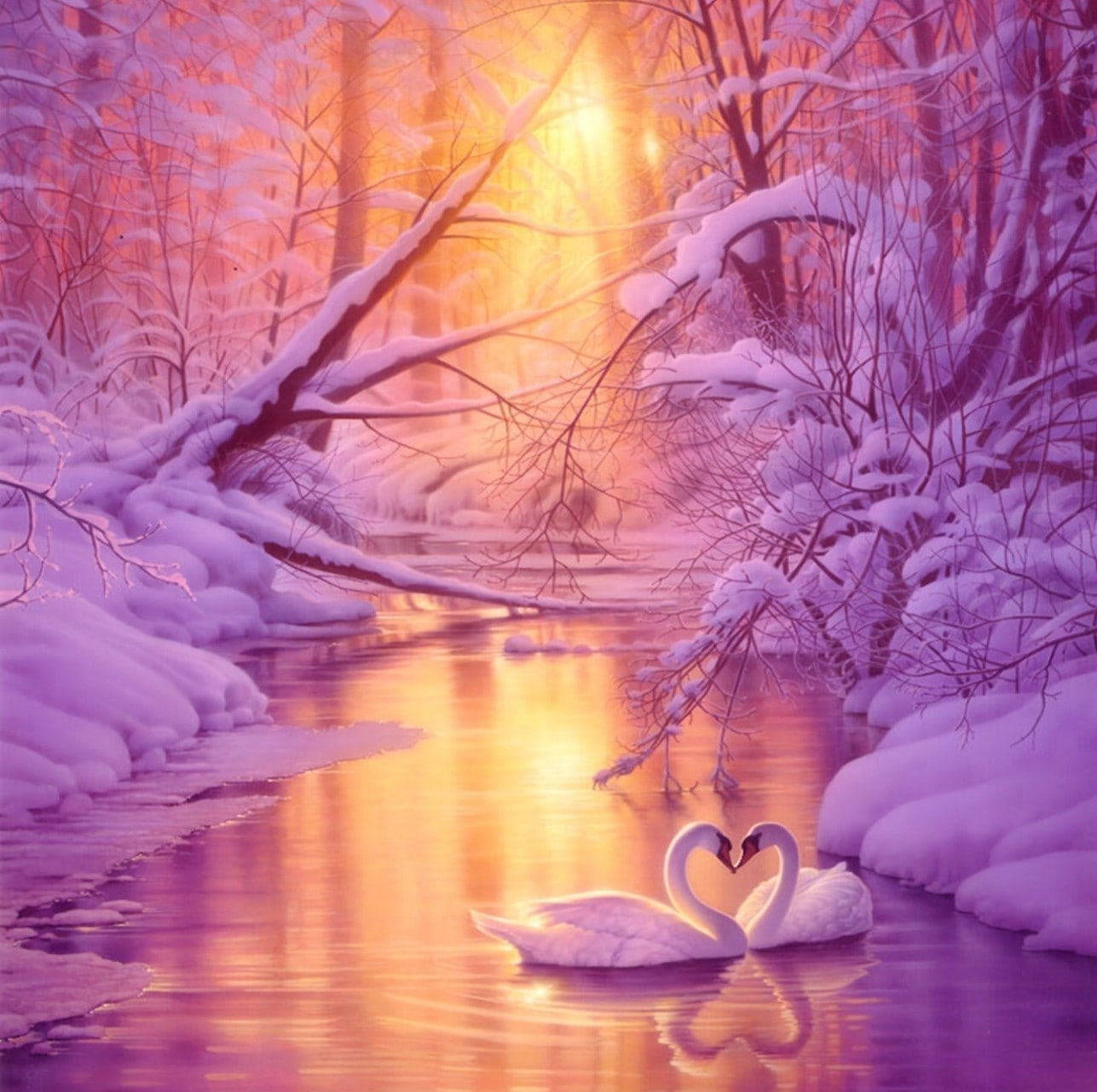 swans, snowy river, golden sunset, HD Desktop Wallpaper