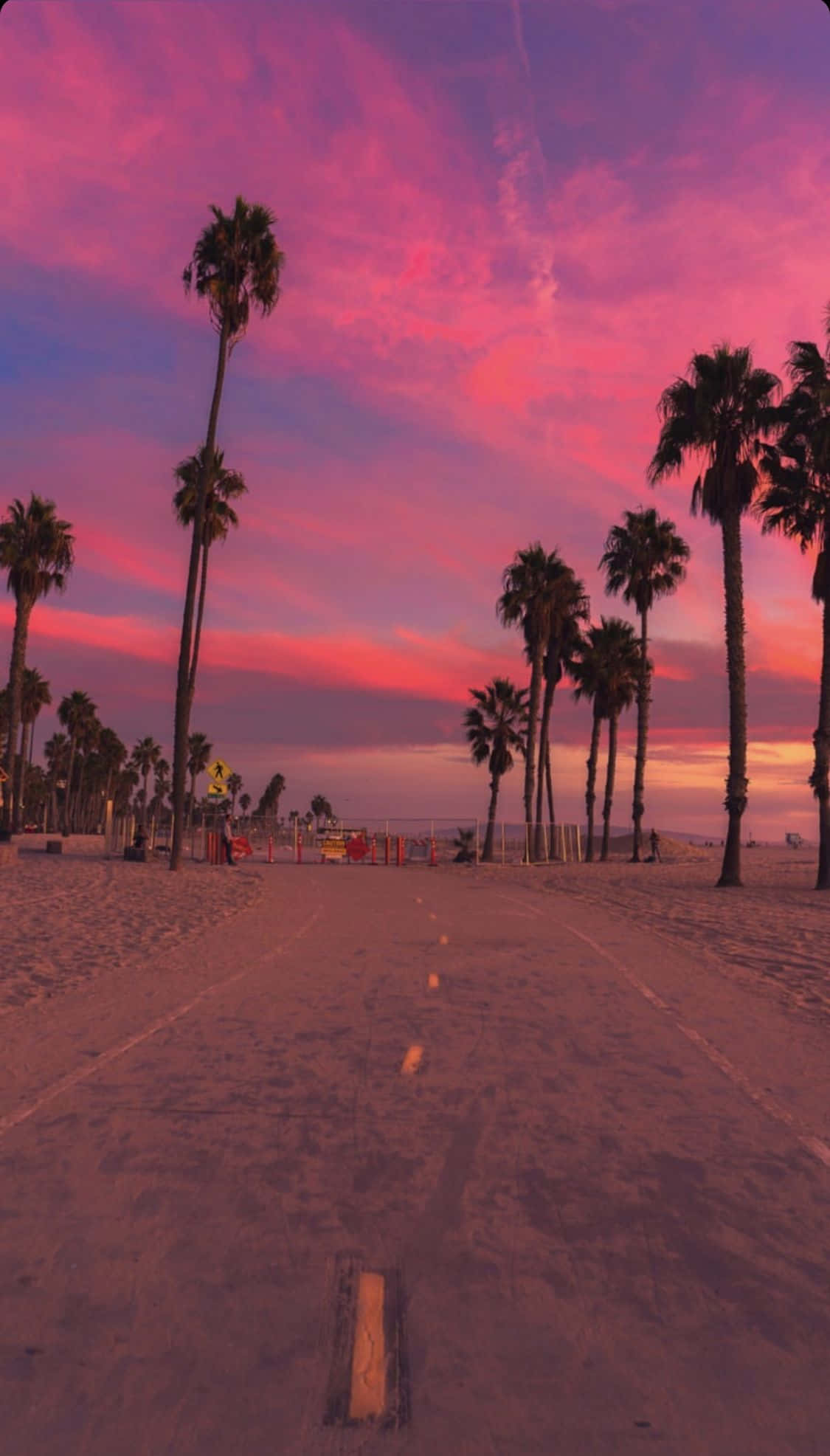 sandy path, tall palm trees, vibrant pink and purple sunset, Full HD Phone Wallpaper