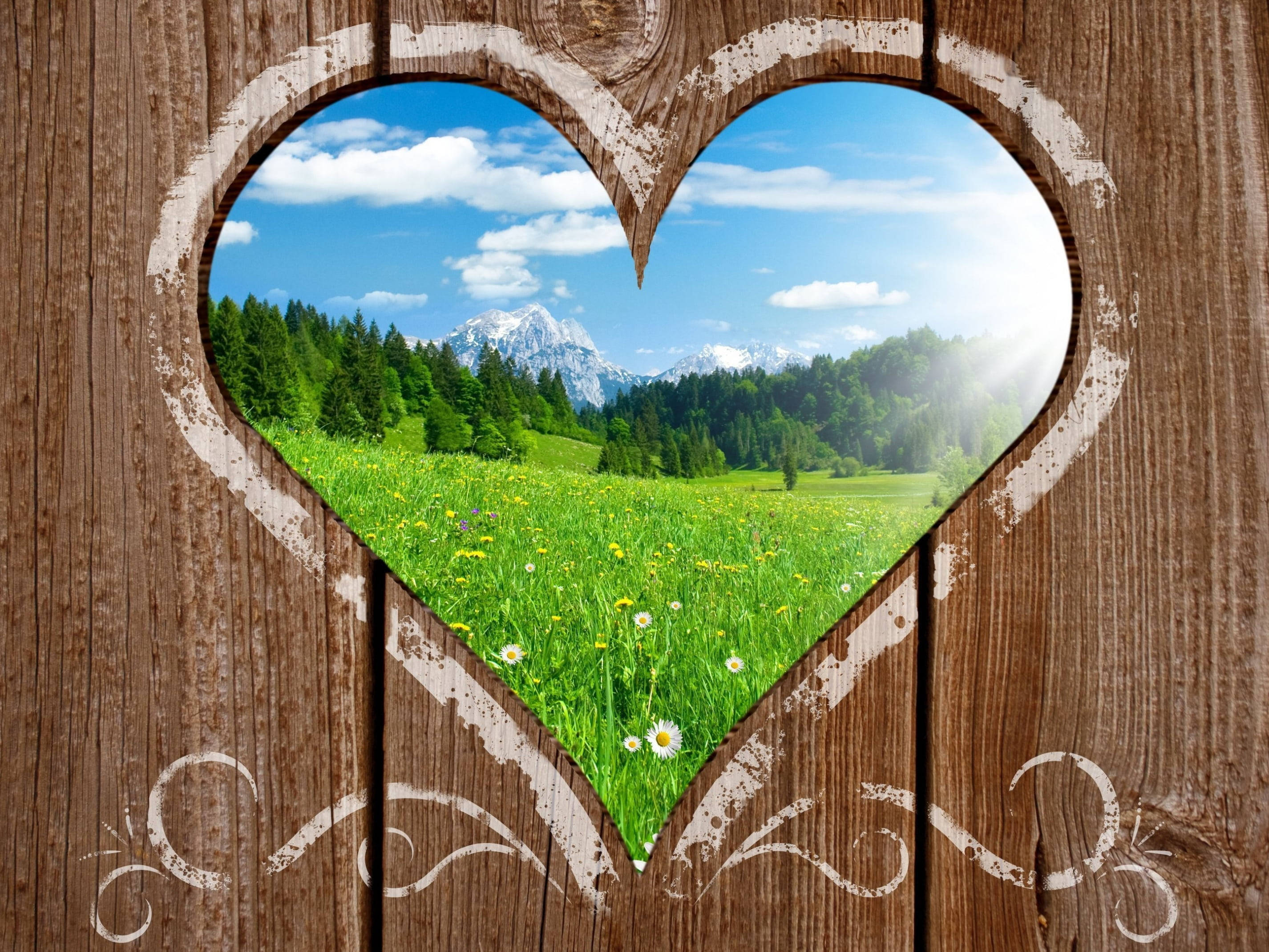 wooden heart, vibrant meadow, wildflowers, 2K Desktop Wallpaper