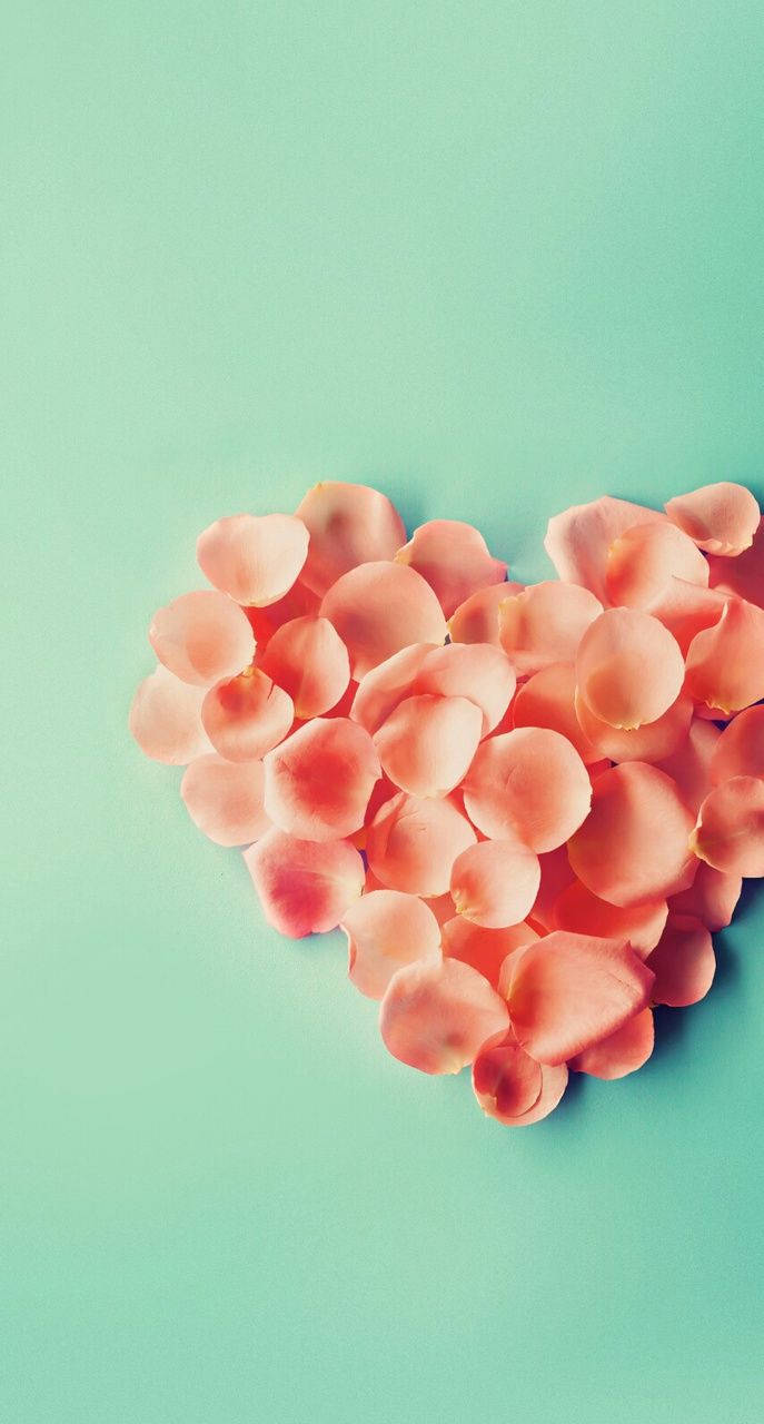 pink heart shaped petals, love phone, soft peach rose petals, HD Phone Wallpaper