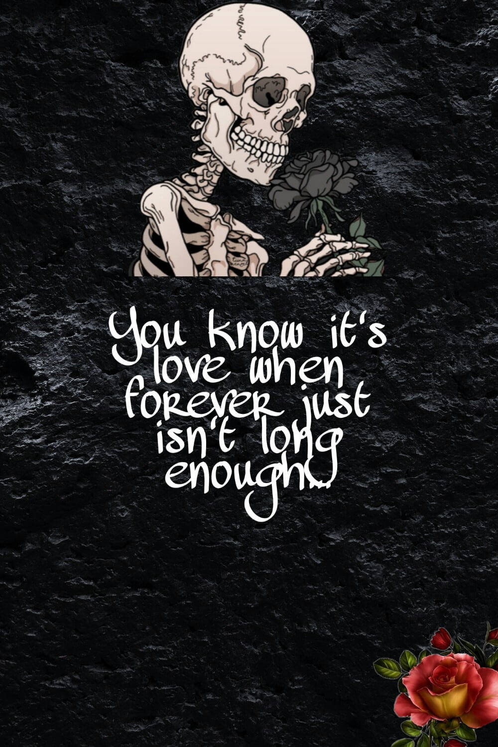 skeleton, black rose, red rose, HD Phone Wallpaper