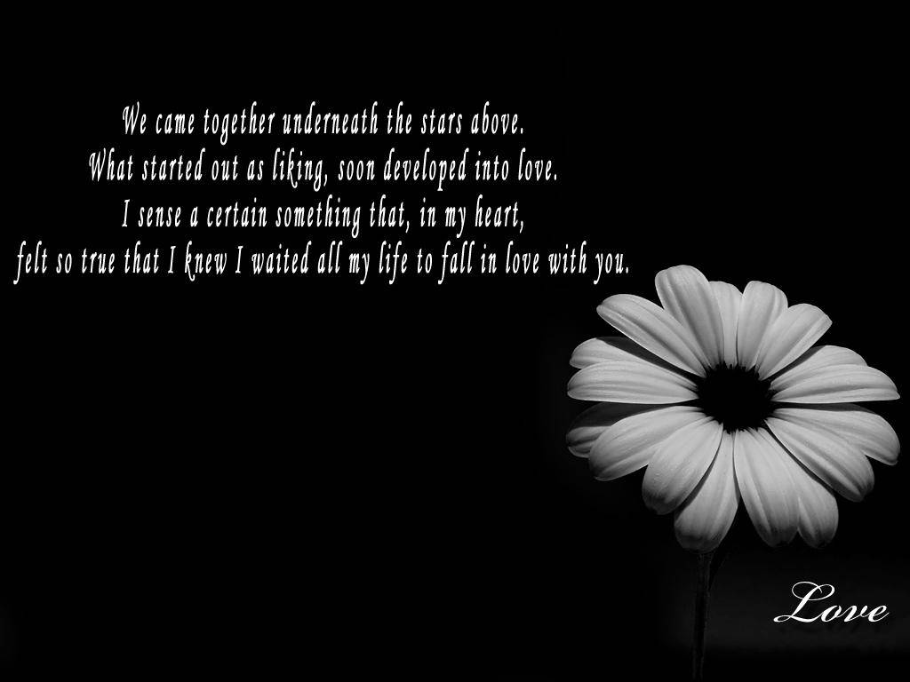 3D Flower, black background, poetic text about love and destiny, SD Desktop Wallpaper