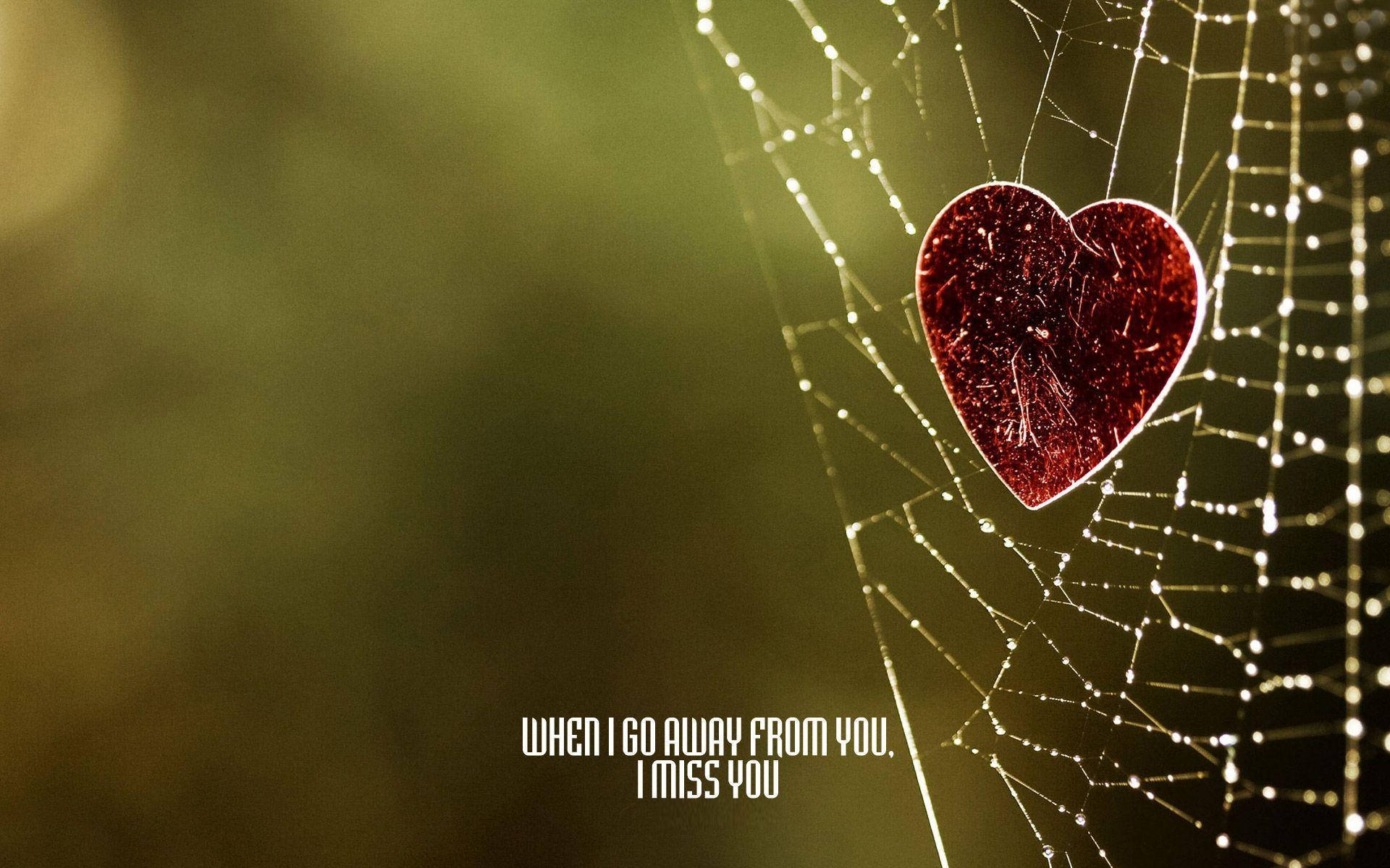red heart, dew-covered spiderweb, soft green blurred background, Full HD Desktop Wallpaper