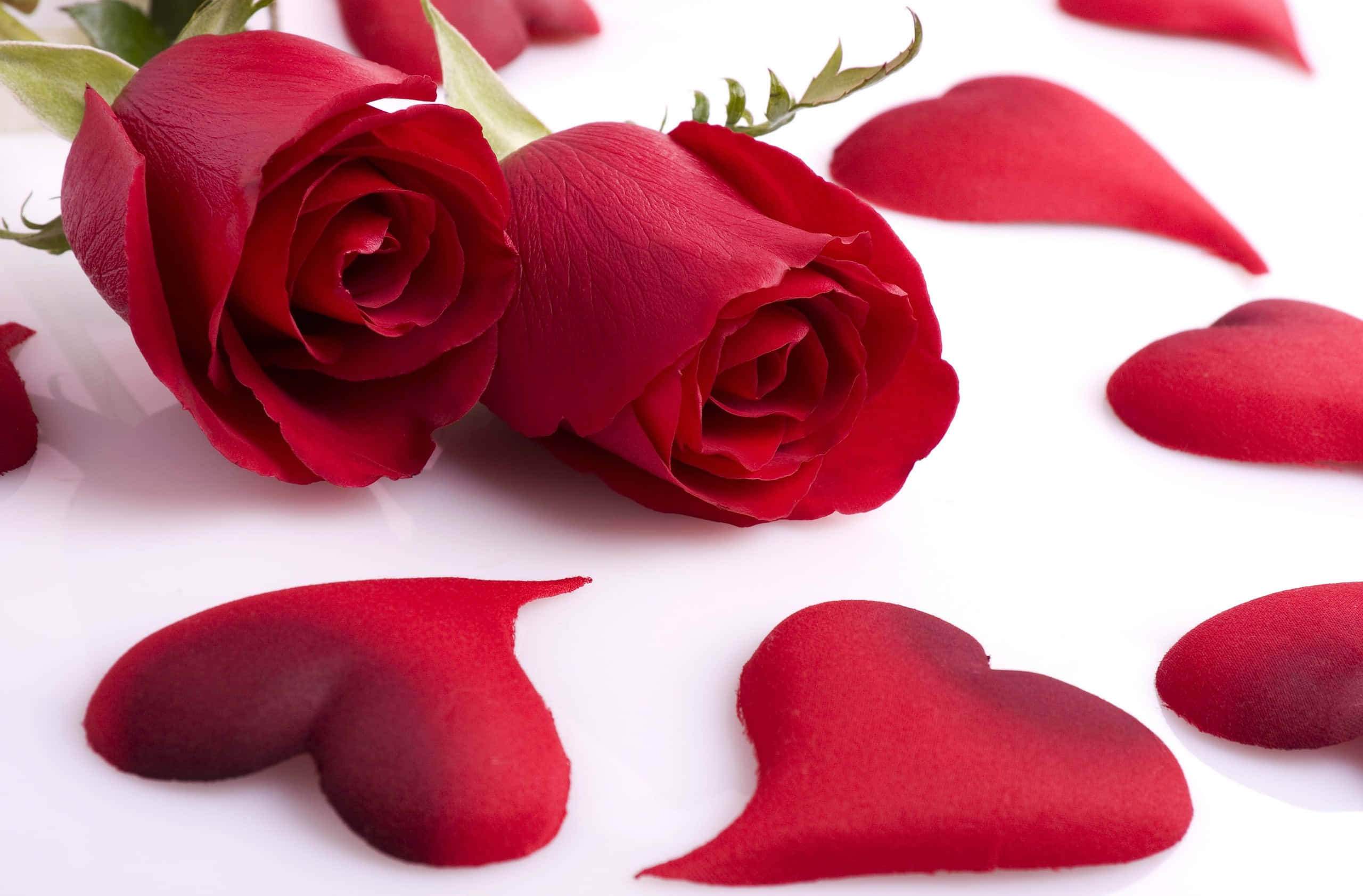 red roses, green stems, red heart-shaped petals, 2K Desktop Wallpaper