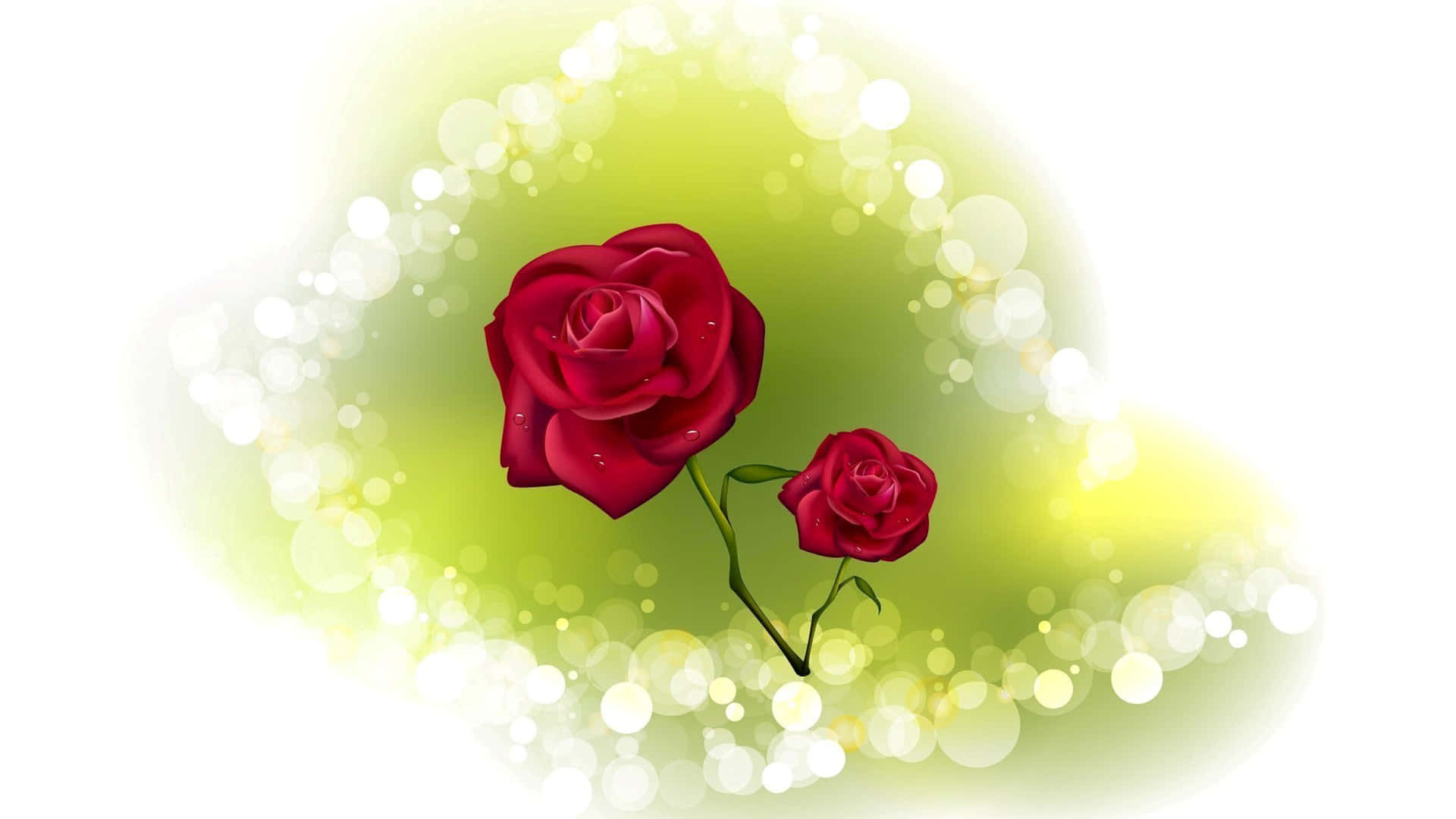 sparkling red roses, green bokeh halo, dewdrops, Full HD Desktop Wallpaper