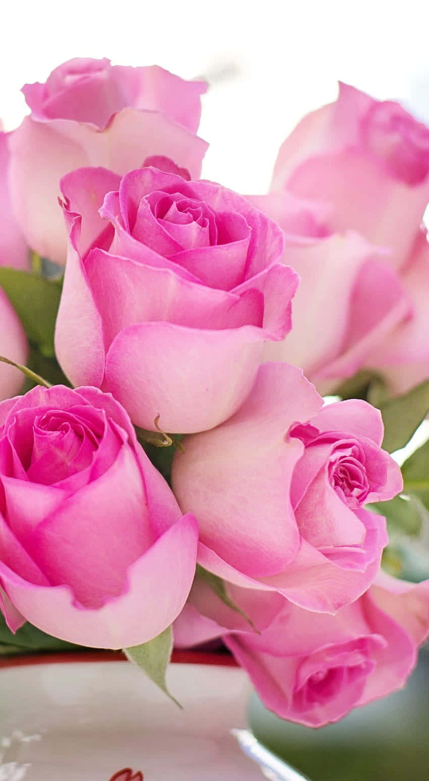 pink roses bouquet, vibrant pink roses, dewy petals, HD Phone Wallpaper