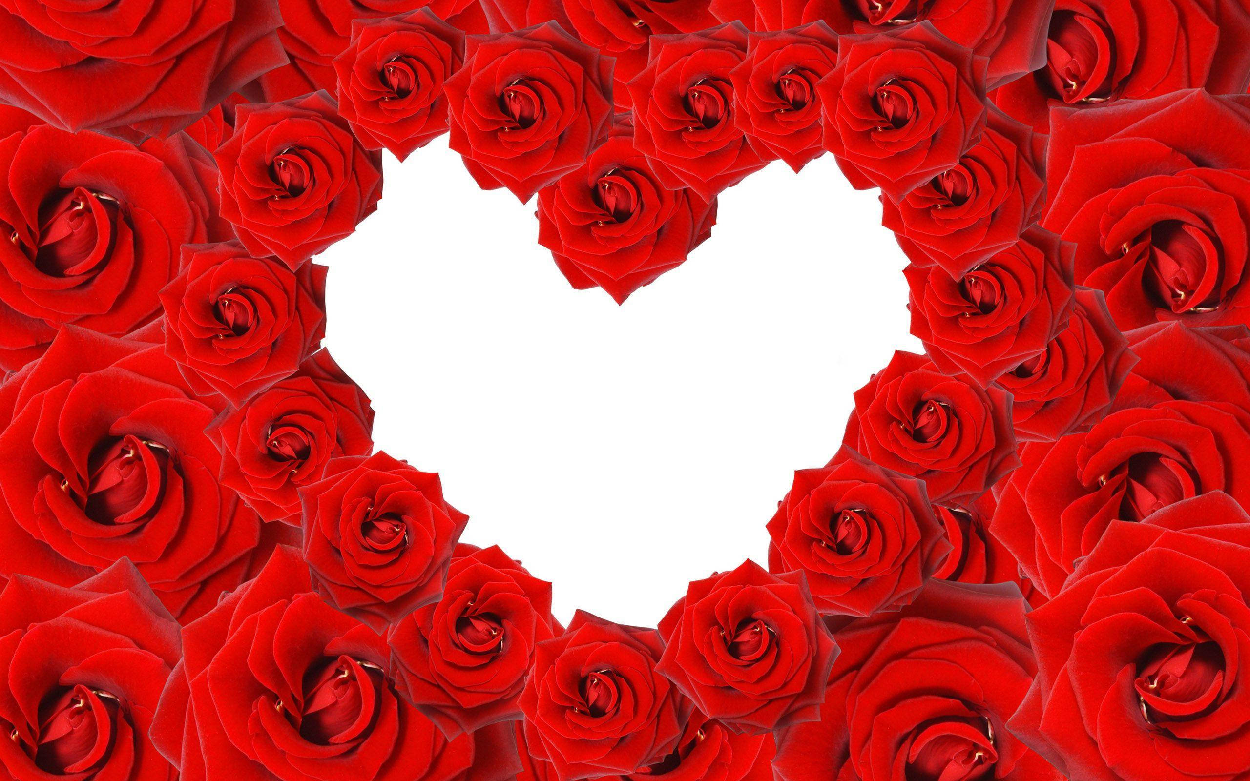 Love Rose, heart-shaped frame, vibrant red roses, 2K Desktop Wallpaper