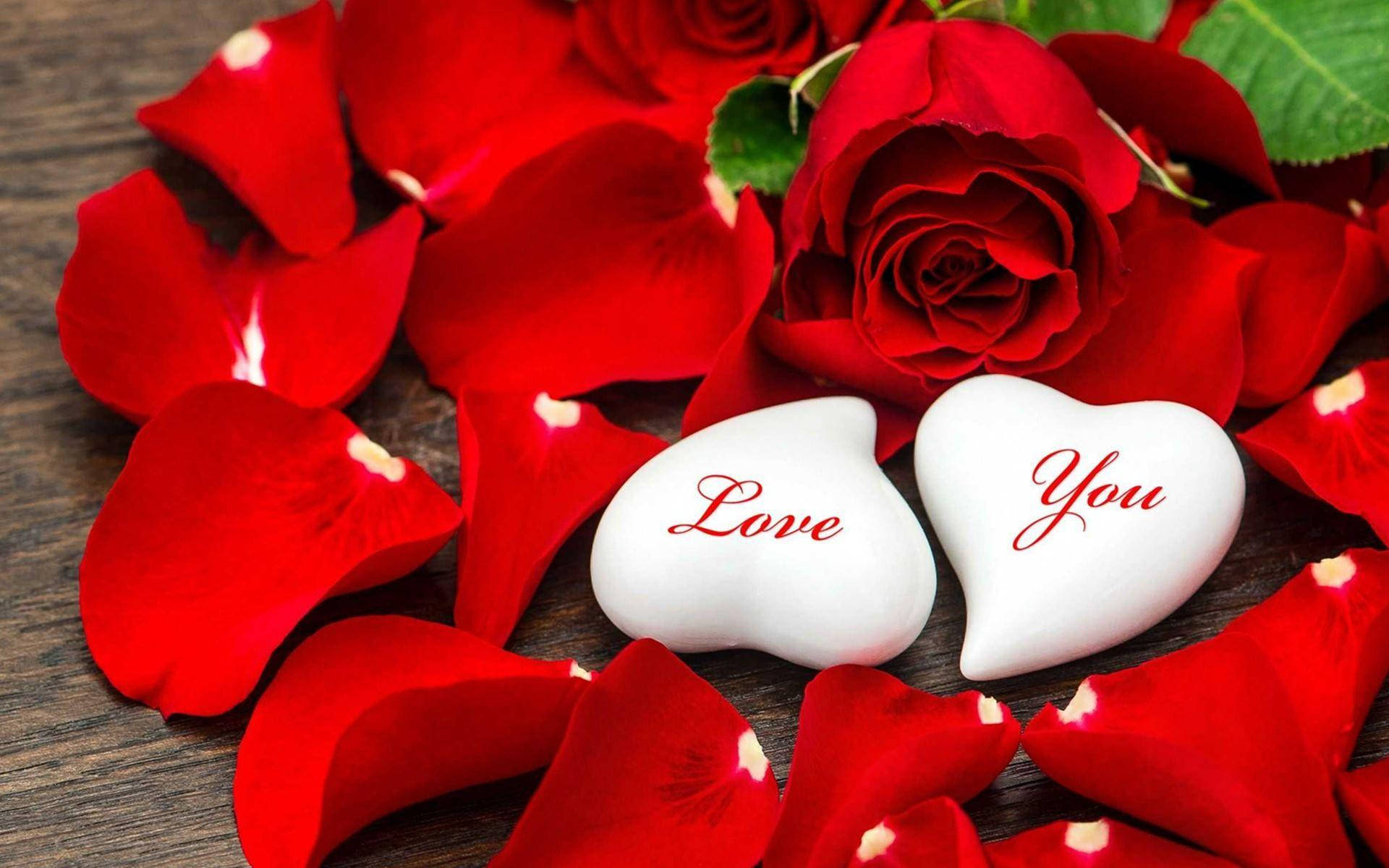 Love Rose, white hearts, Love You, Full HD Desktop Wallpaper