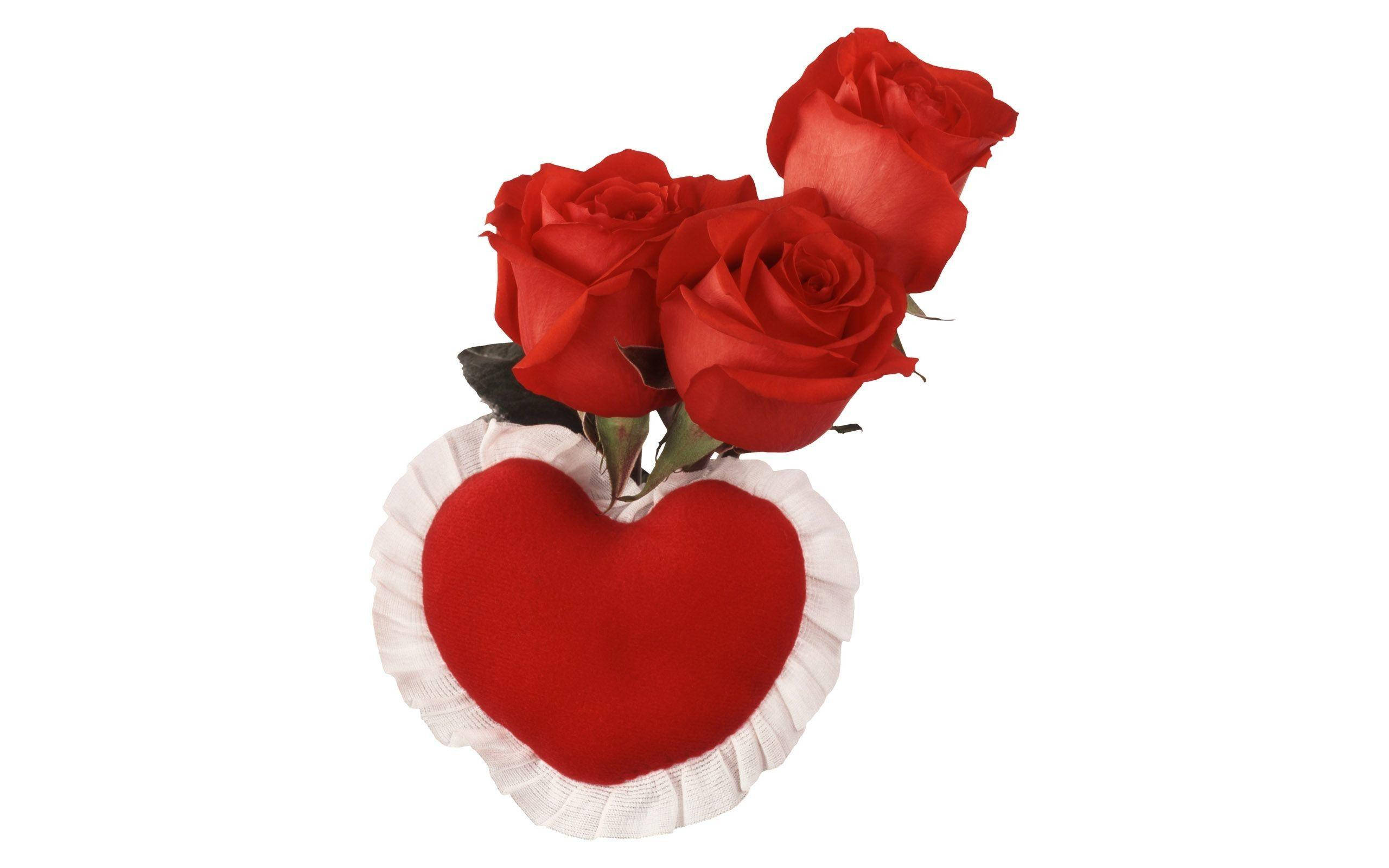 Love Rose, red roses, red heart-shaped cushion, 2K Desktop Wallpaper