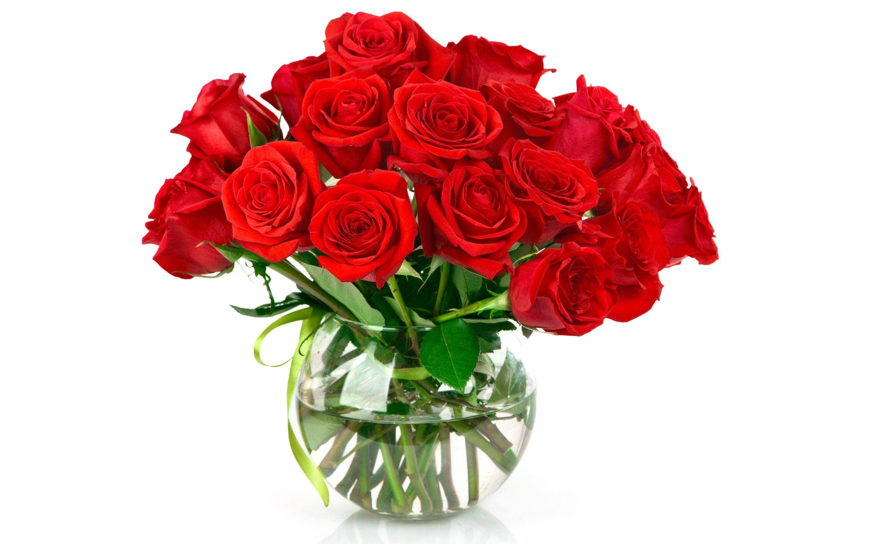 Love Rose, bouquet of love rose, clear glass vase, 2K Desktop Wallpaper