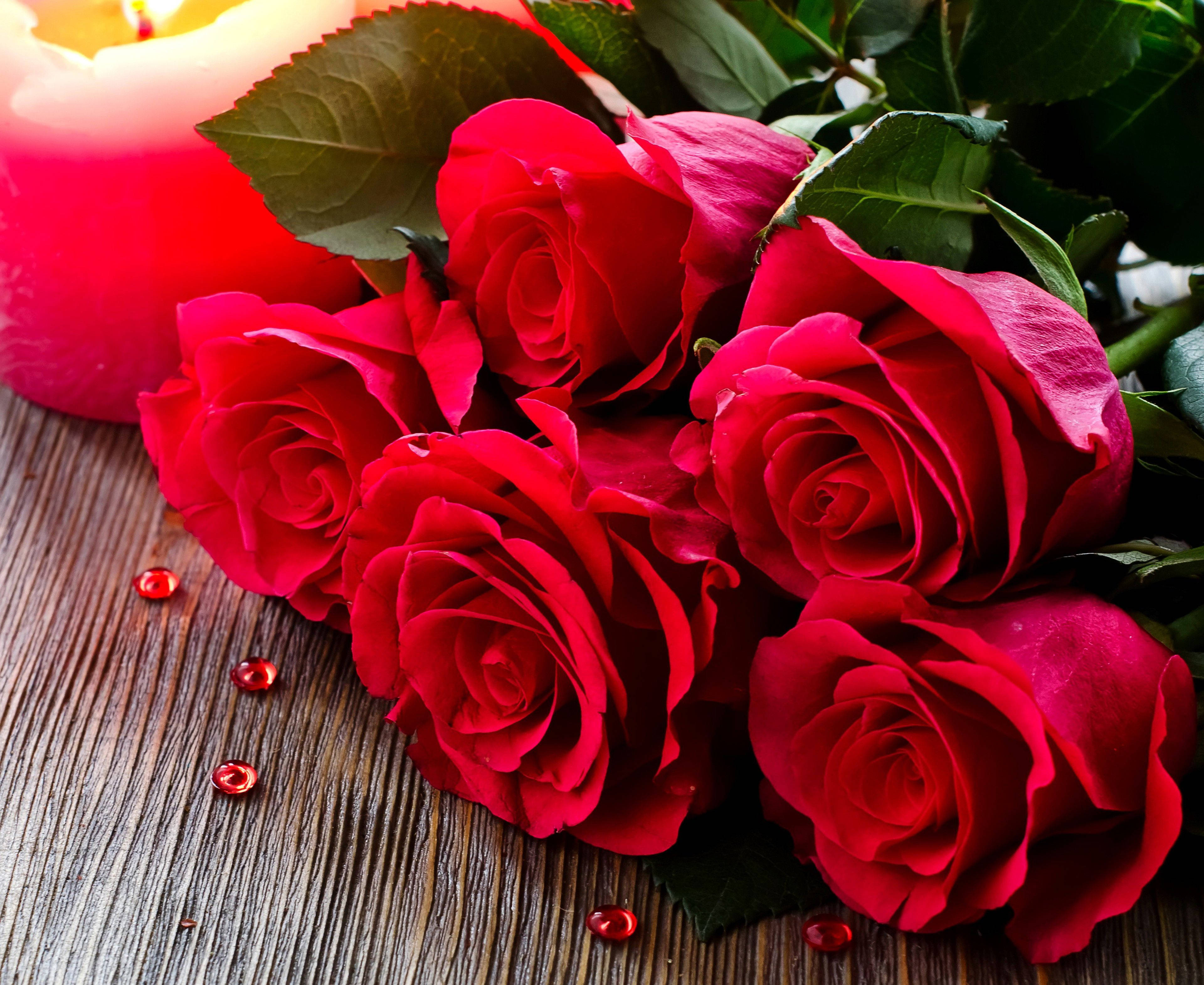 Love Rose, vibrant red roses, dew drops, 4K Desktop Wallpaper