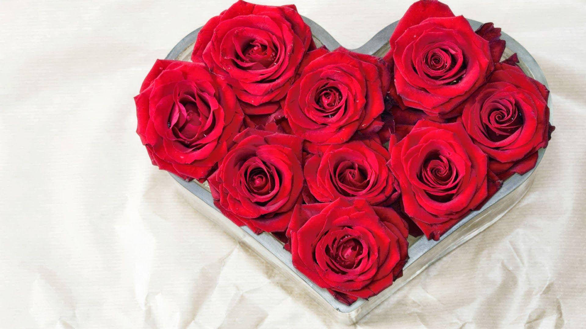 love rose heart box, heart-shaped glass bowl, vibrant red roses, Full HD Desktop Wallpaper