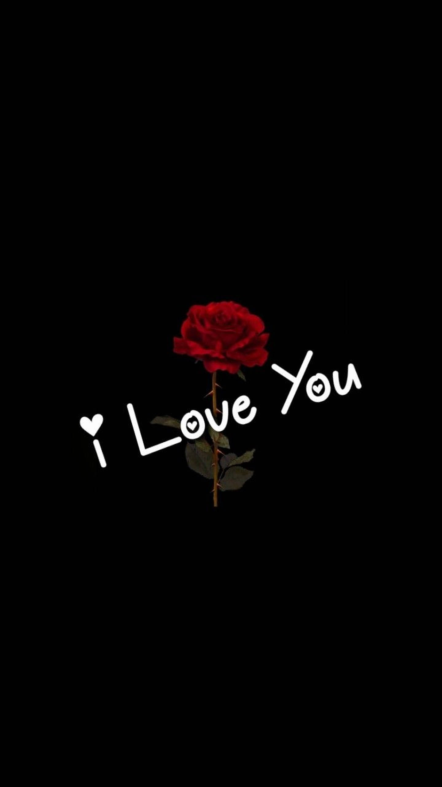 red rose, green stem, black background, 2K Phone Wallpaper