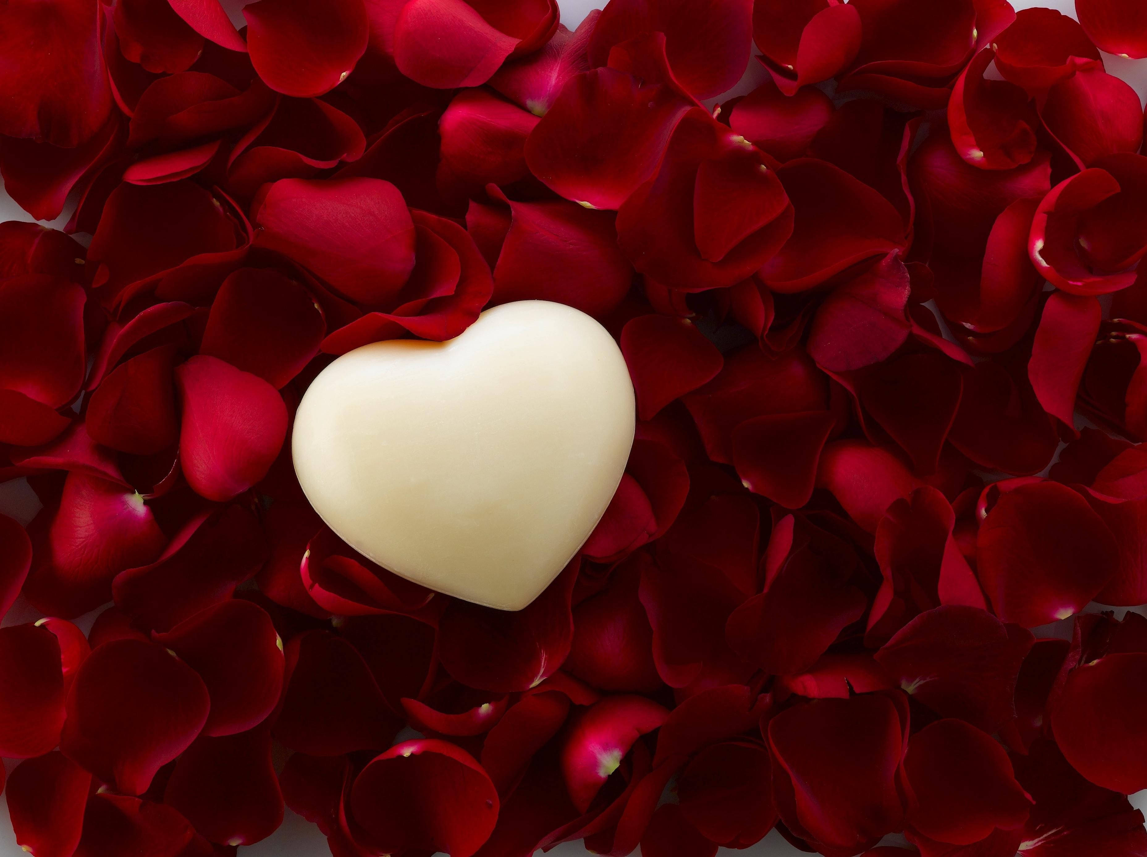 creamy white heart-shaped chocolate, deep red rose petals, heart-shaped, 2K Desktop Wallpaper