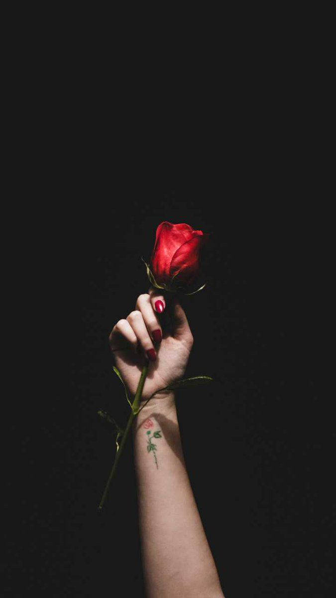 black love rose, red rose, red nail polish, SD Phone Wallpaper