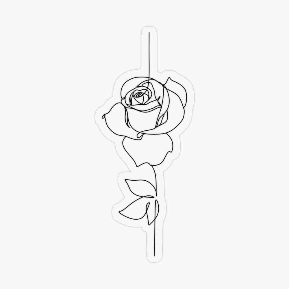 rose, red rose, single continuous line drawing, SD Desktop Wallpaper