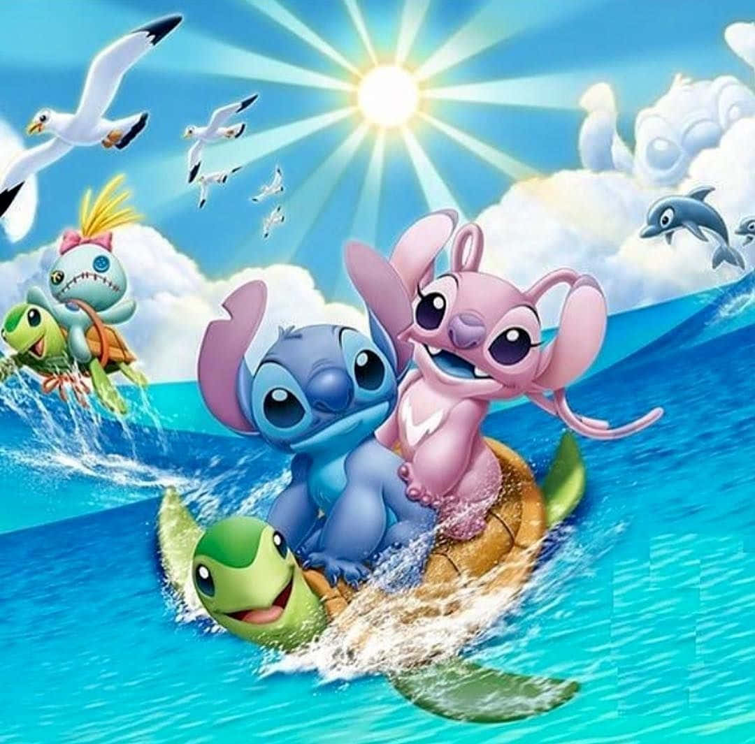 Stitch, Angel, turtle, SD Desktop Wallpaper