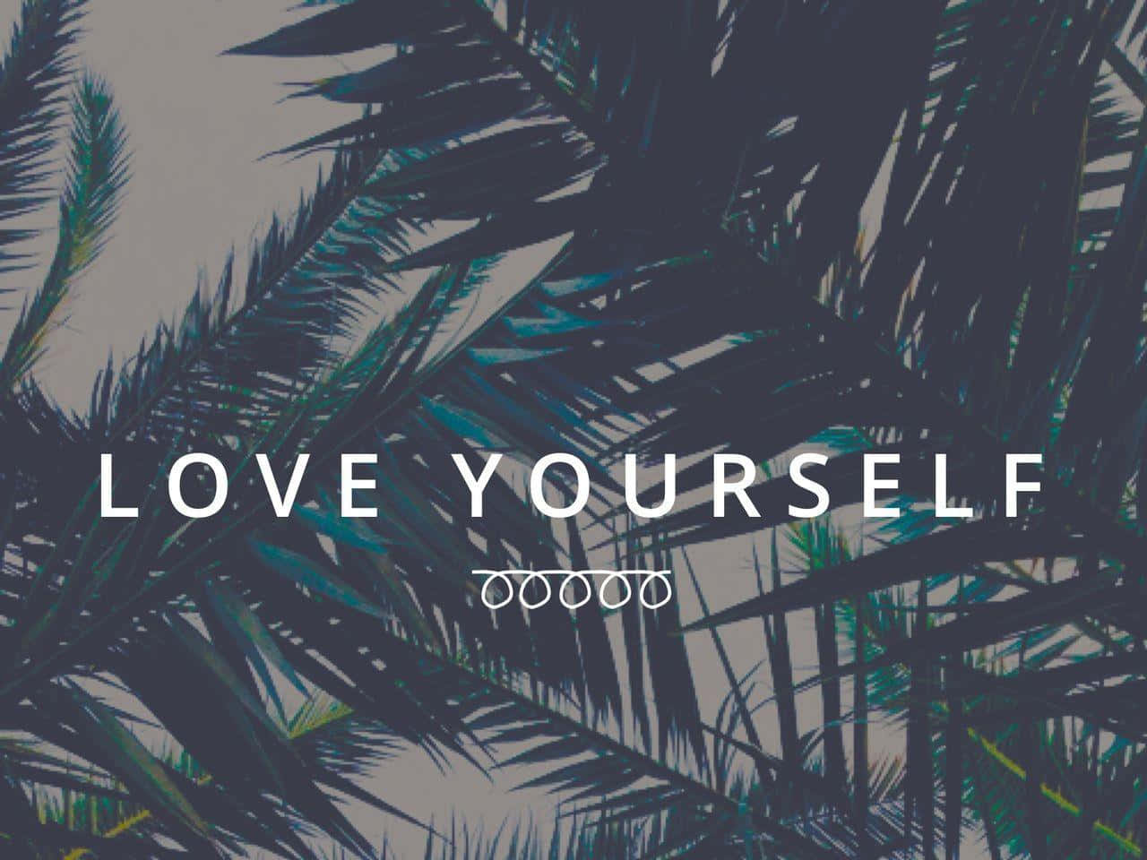 love yourself, dark palm fronds, muted sky, HD Desktop Wallpaper