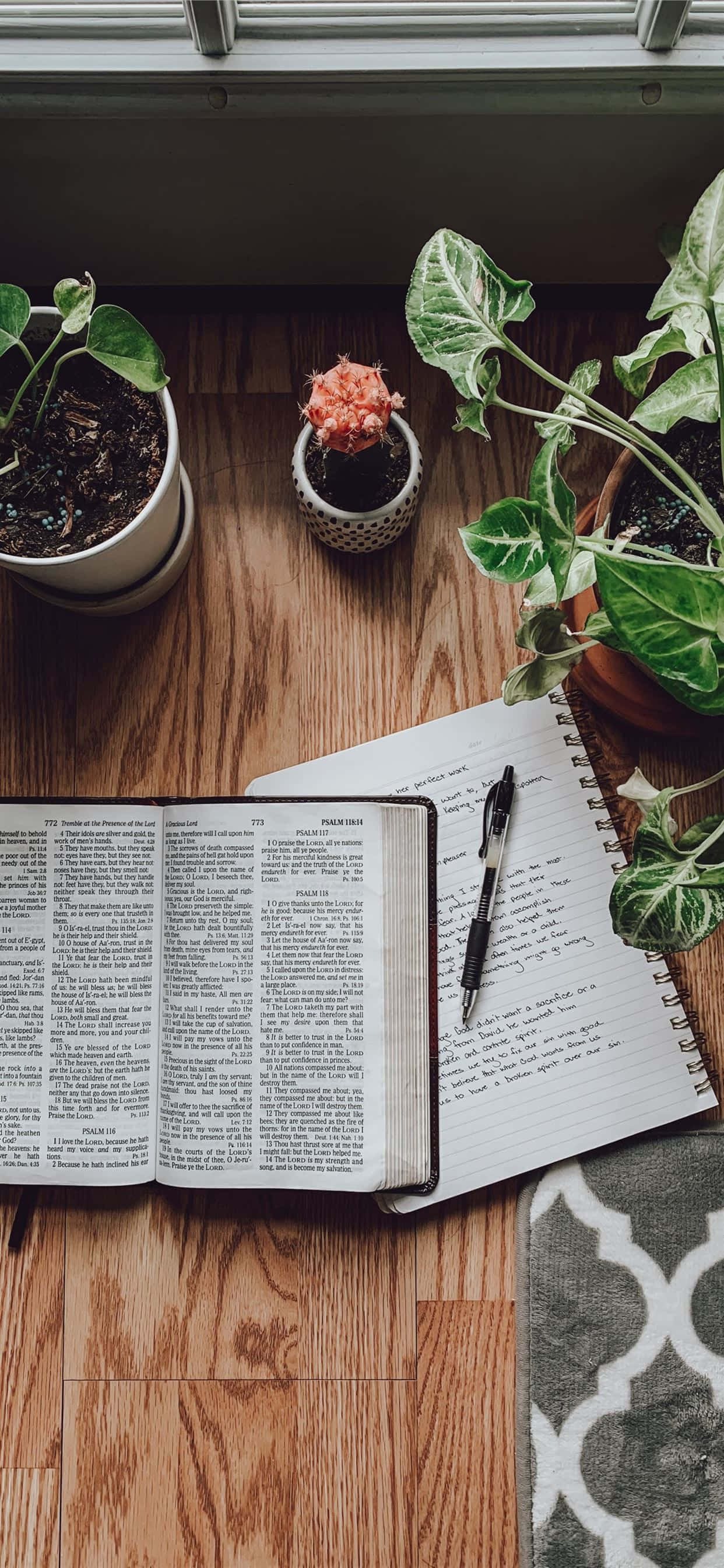 Love yourself, open book, notebook, 2K Phone Wallpaper