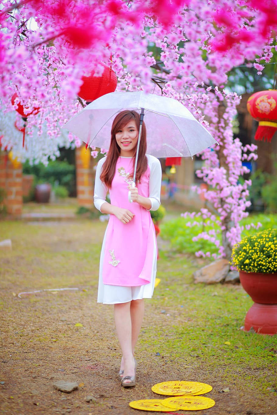 pink ao dai, clear umbrella, vibrant pink blossoms, HD Phone Wallpaper