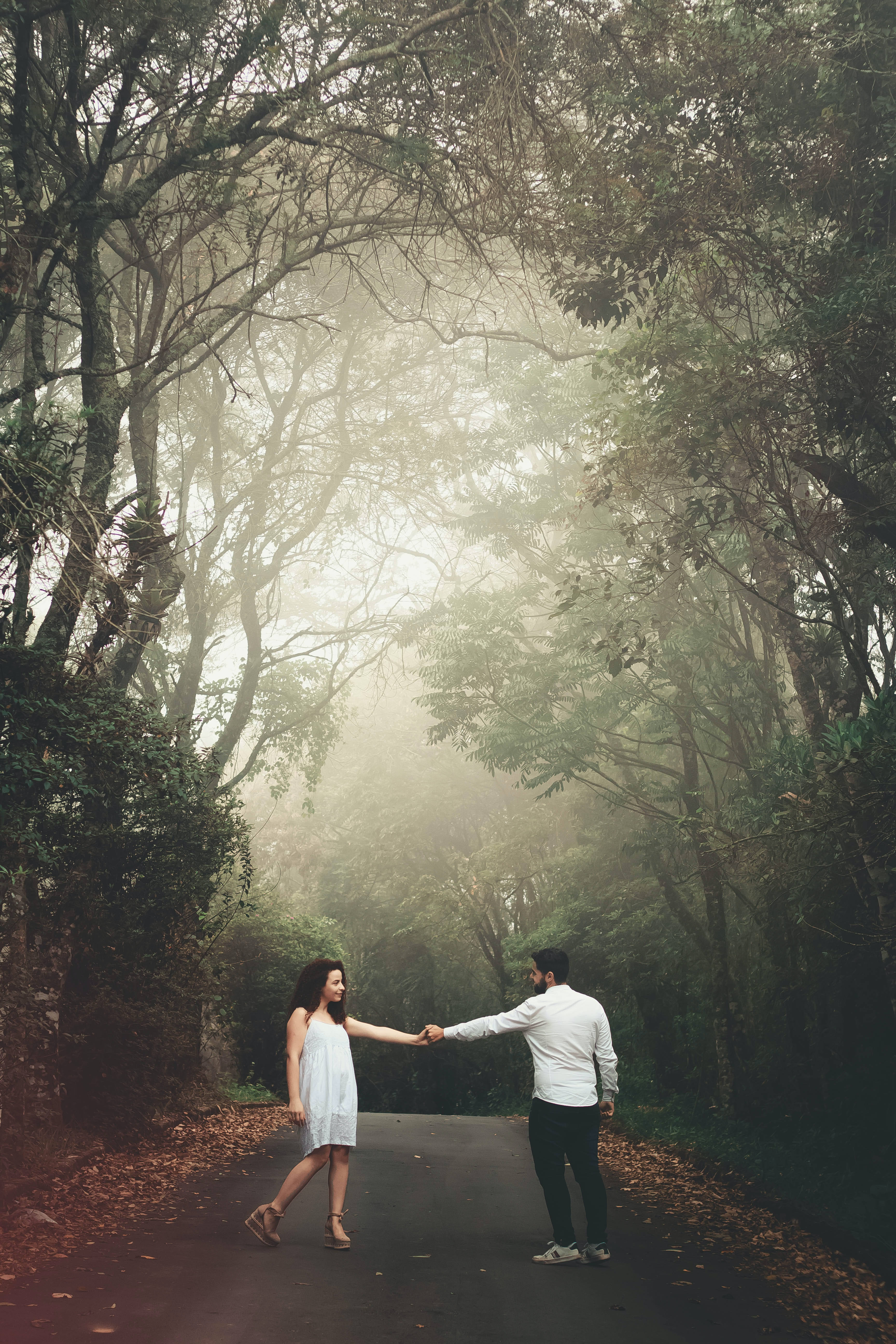 Lovers Road Trees, mist, forest path, 5K Phone Wallpaper