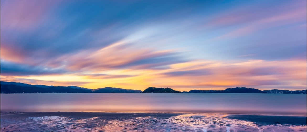 Lower Hutt, sunset, silhouette, SD Desktop Wallpaper