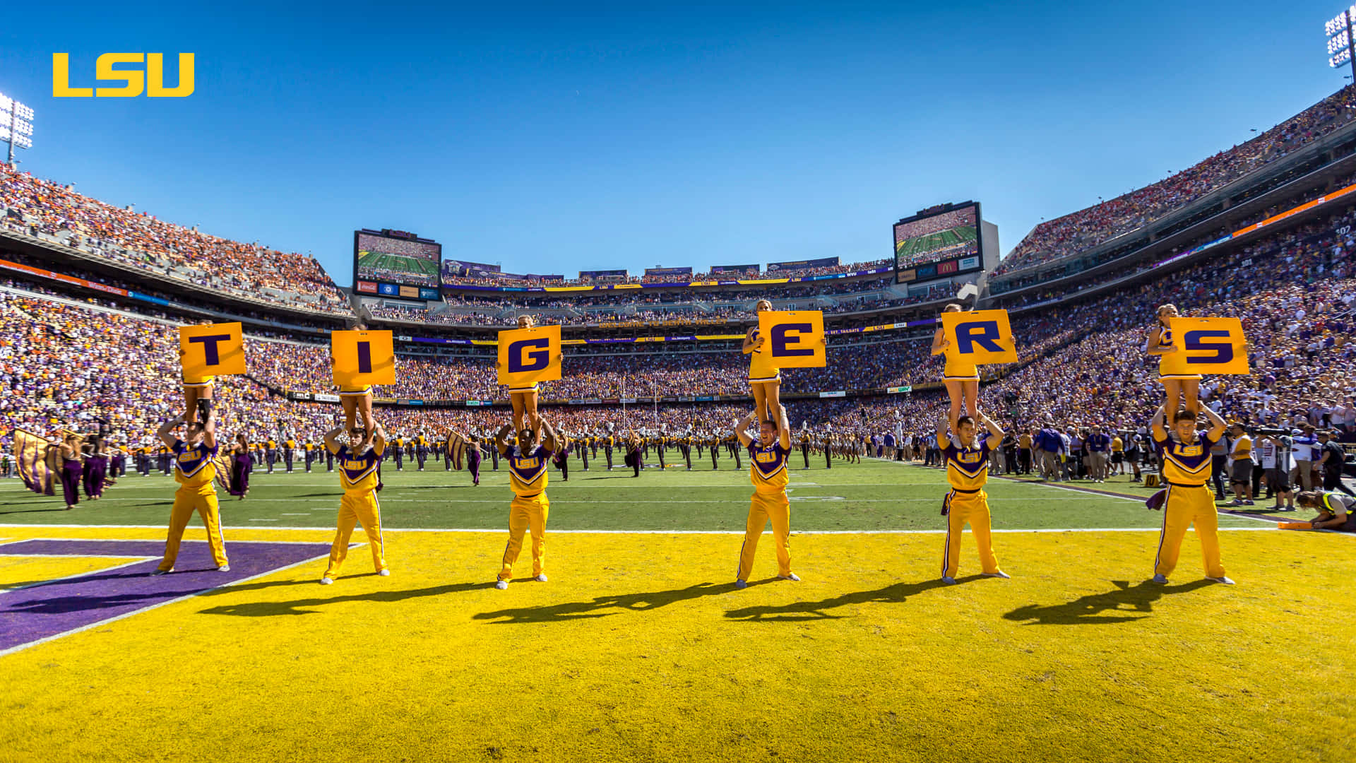 LSU Tigers, yellow uniforms, football field, Full HD Desktop Wallpaper