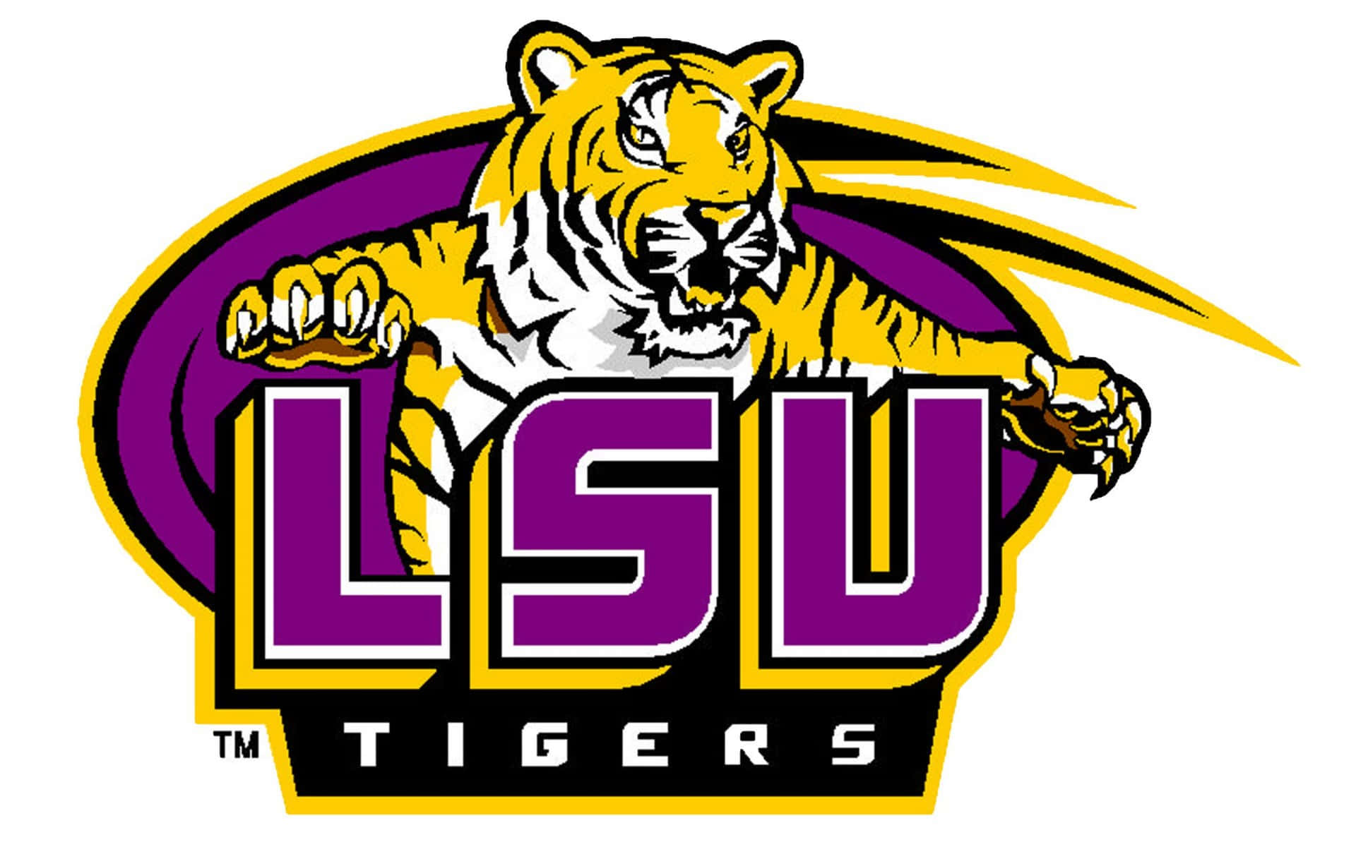 LSU Tigers, yellow tiger, white markings, Full HD Desktop Wallpaper