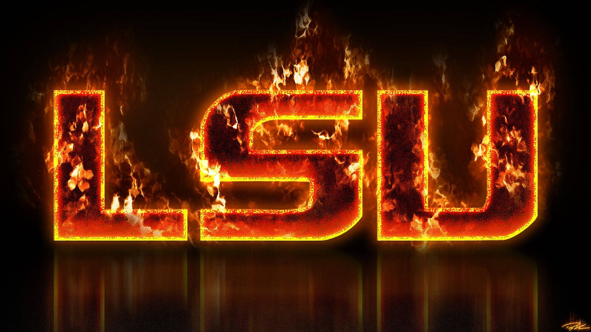 LSU, roaring flames, dark background, Full HD Desktop Wallpaper