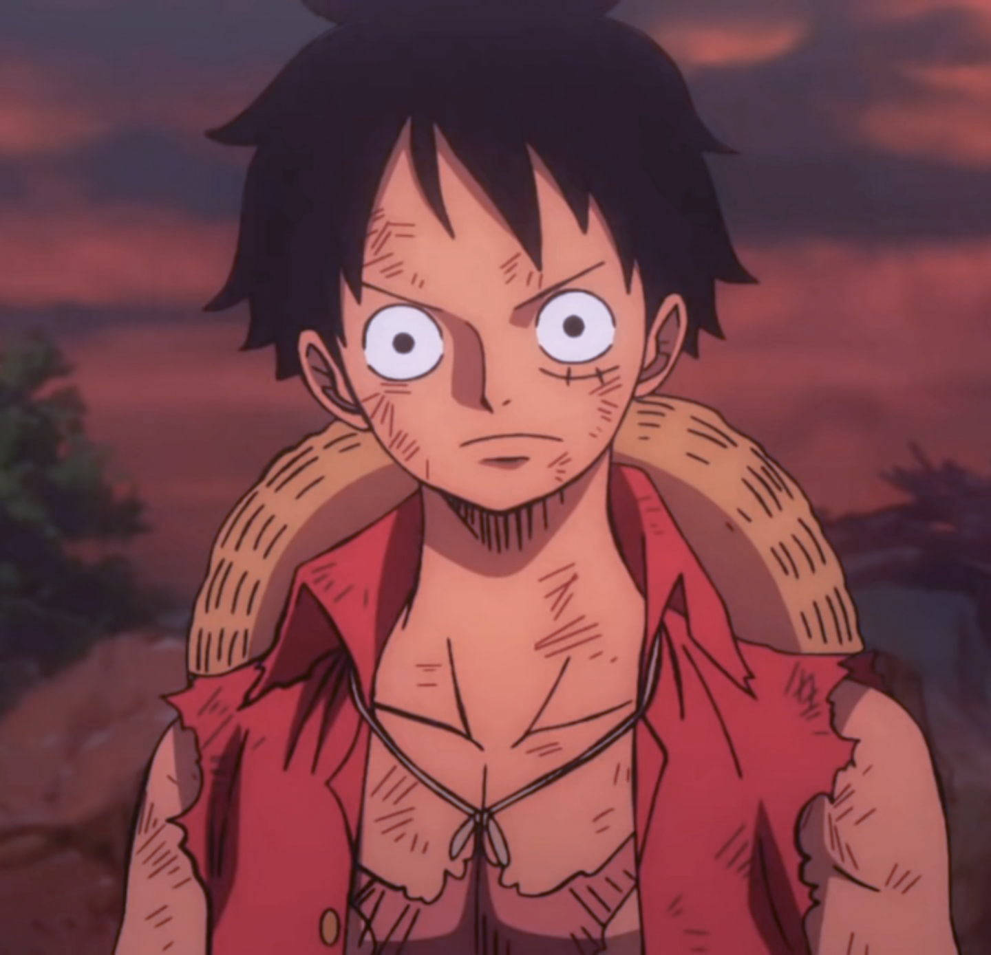 Luffy Aesthetic, black hair, red shirt, HD Desktop Wallpaper