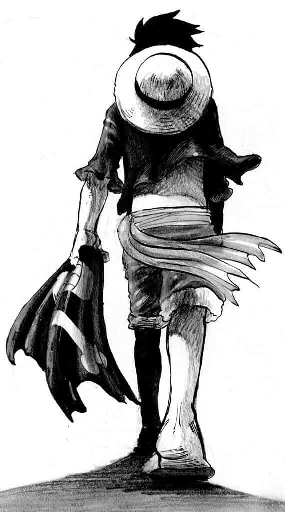 Luffy, straw hat, coat, SD Phone Wallpaper