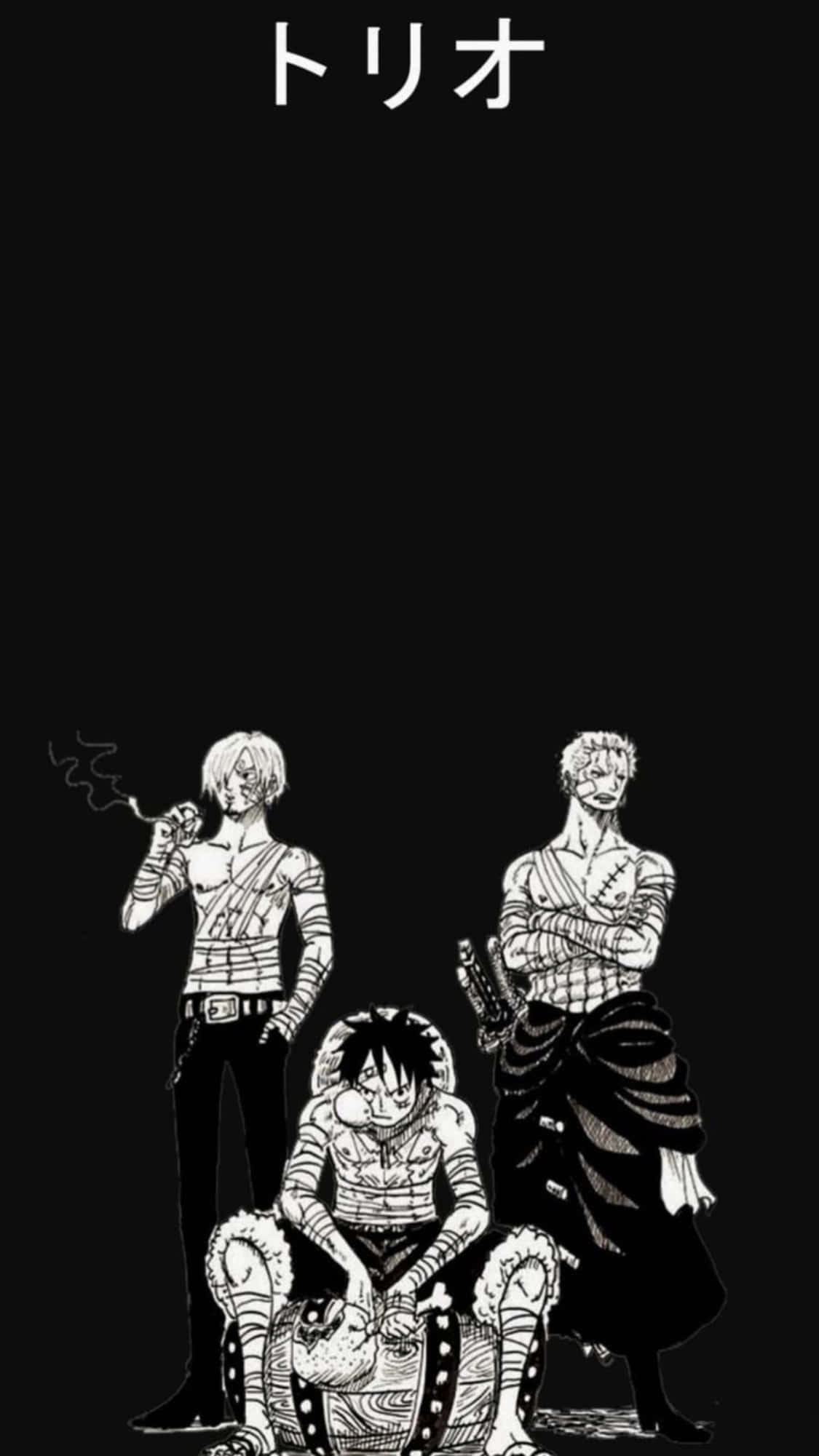 Luffy, black and white, anime characters, Full HD Phone Wallpaper