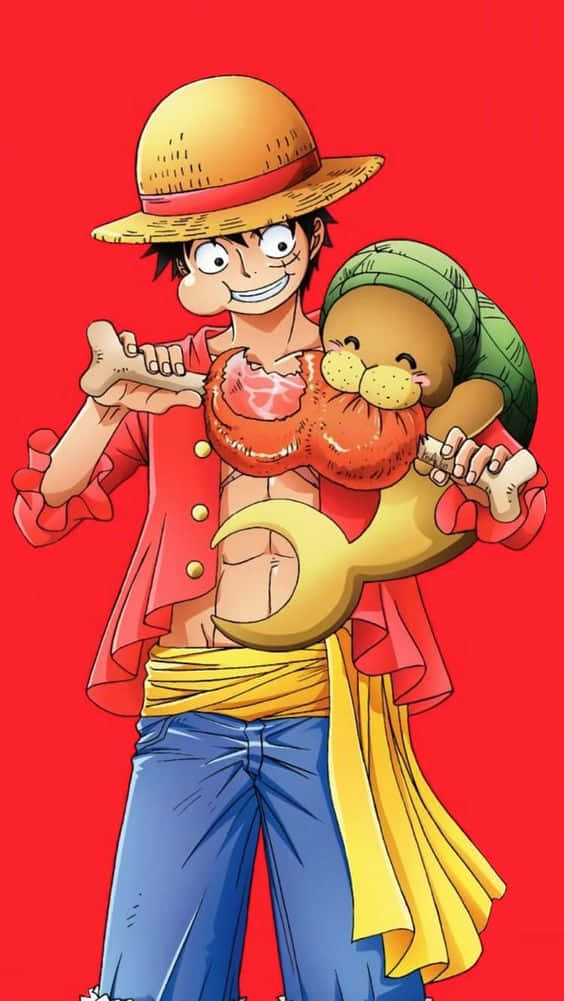 Luffy, straw hat, red jacket, SD Phone Wallpaper