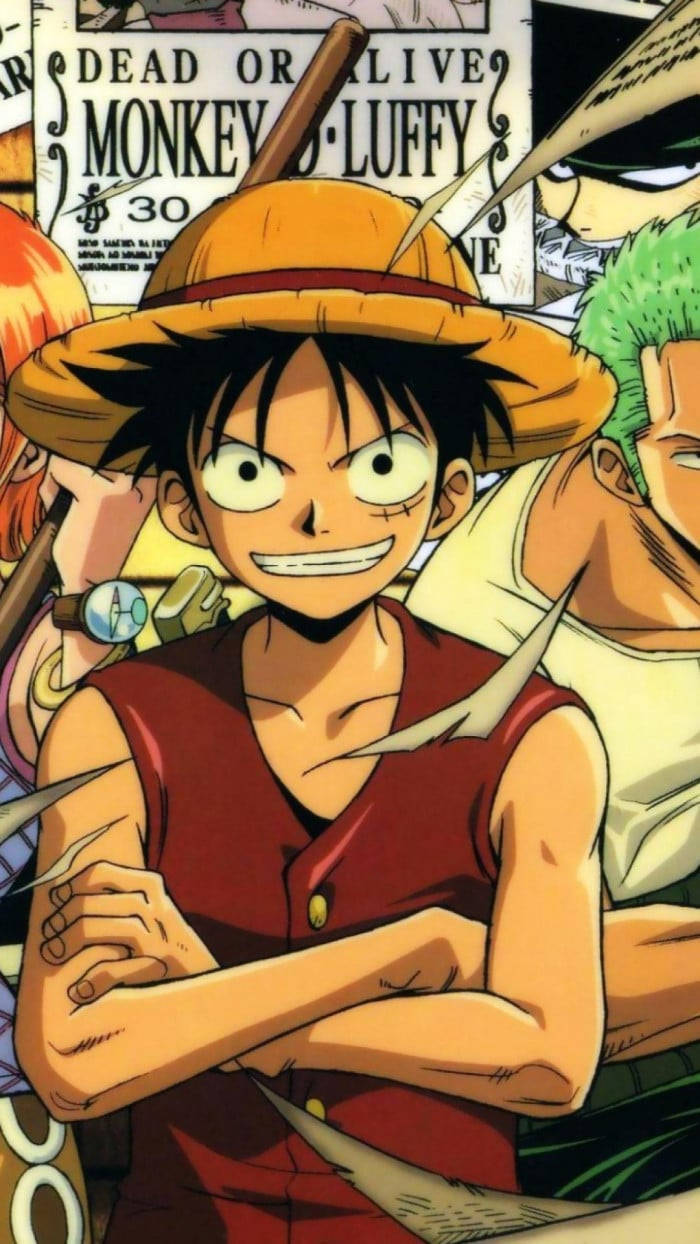 Luffy Funny, straw hat, red vest, SD Phone Wallpaper