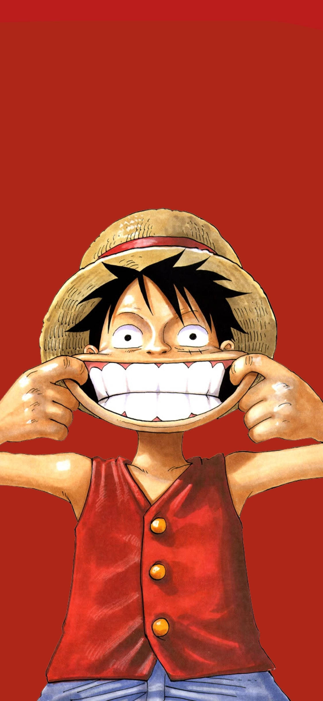 Luffy, straw hat, red vest, Full HD Phone Wallpaper