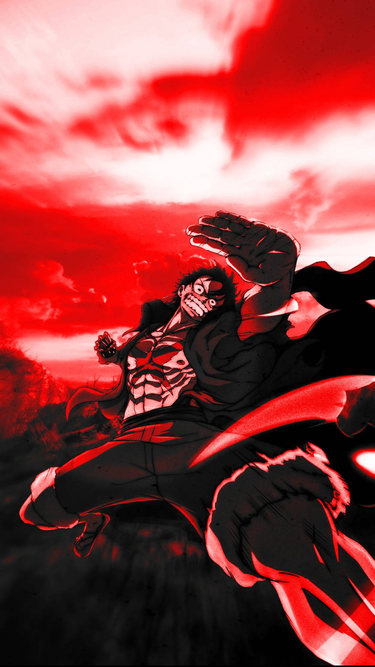 Luffy, monochrome, skeletal torso, Full HD Phone Wallpaper