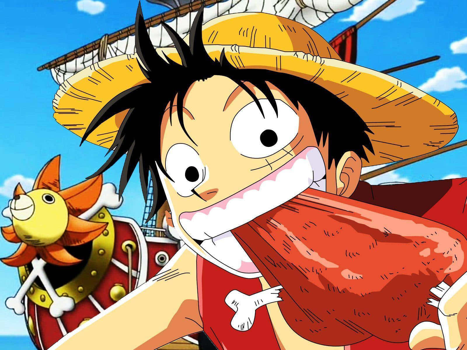 Luffy, straw hat, red vest, HD Desktop Wallpaper