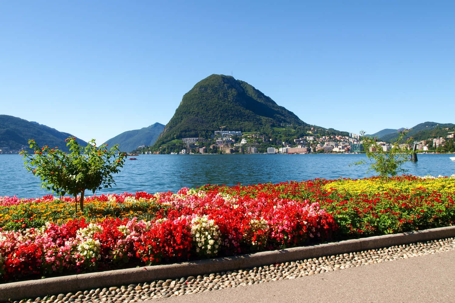 Lugano, lakefront, floral display, HD Desktop Wallpaper