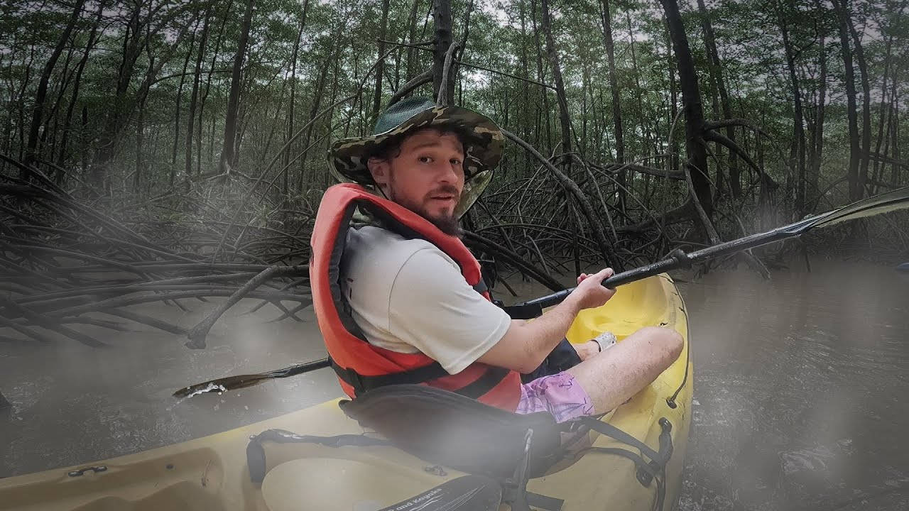 Luisito Comunica, kayak, mangrove forest, HD Desktop Wallpaper