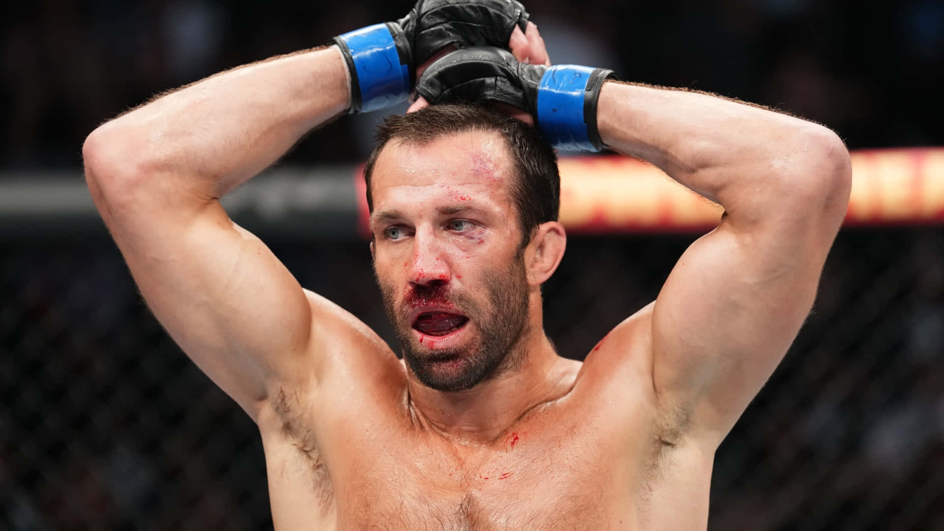 Luke Rockhold, MMA fighter, octagon cage, Full HD Desktop Wallpaper