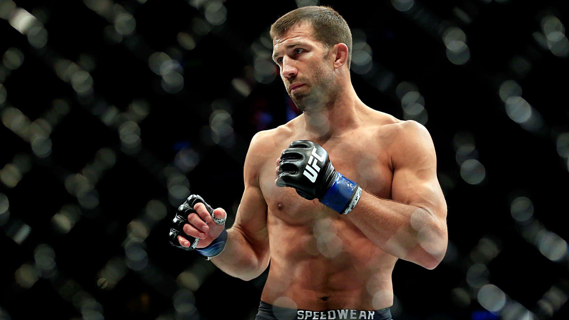 Luke Rockhold, 2015 Middleweight Event, dimly lit octagon, Full HD Desktop Wallpaper