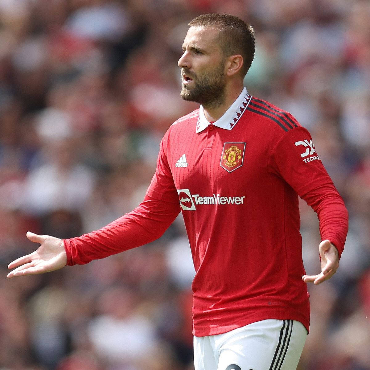 Luke Shaw, red Manchester United jersey, sunny match, SD Desktop Wallpaper